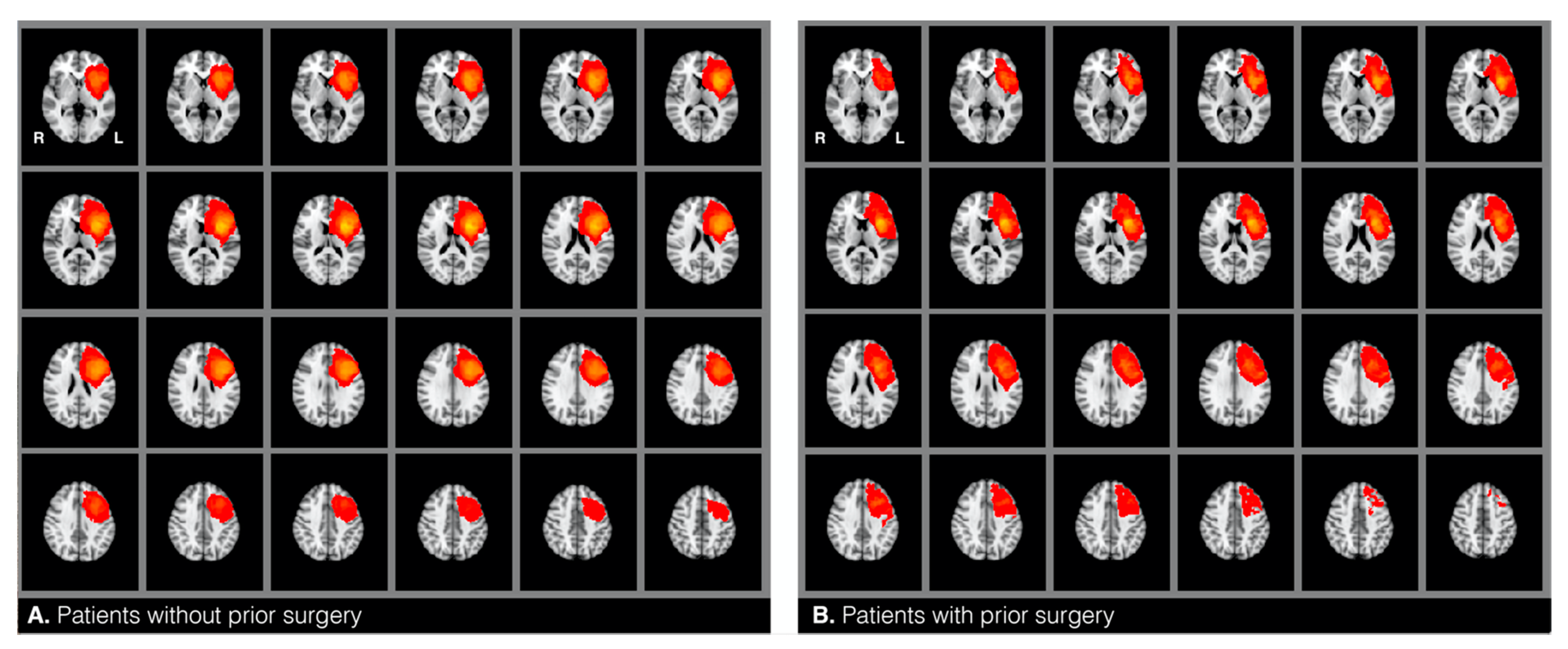 Jcm 10 01491 g001 Jcm 10 01491 g001