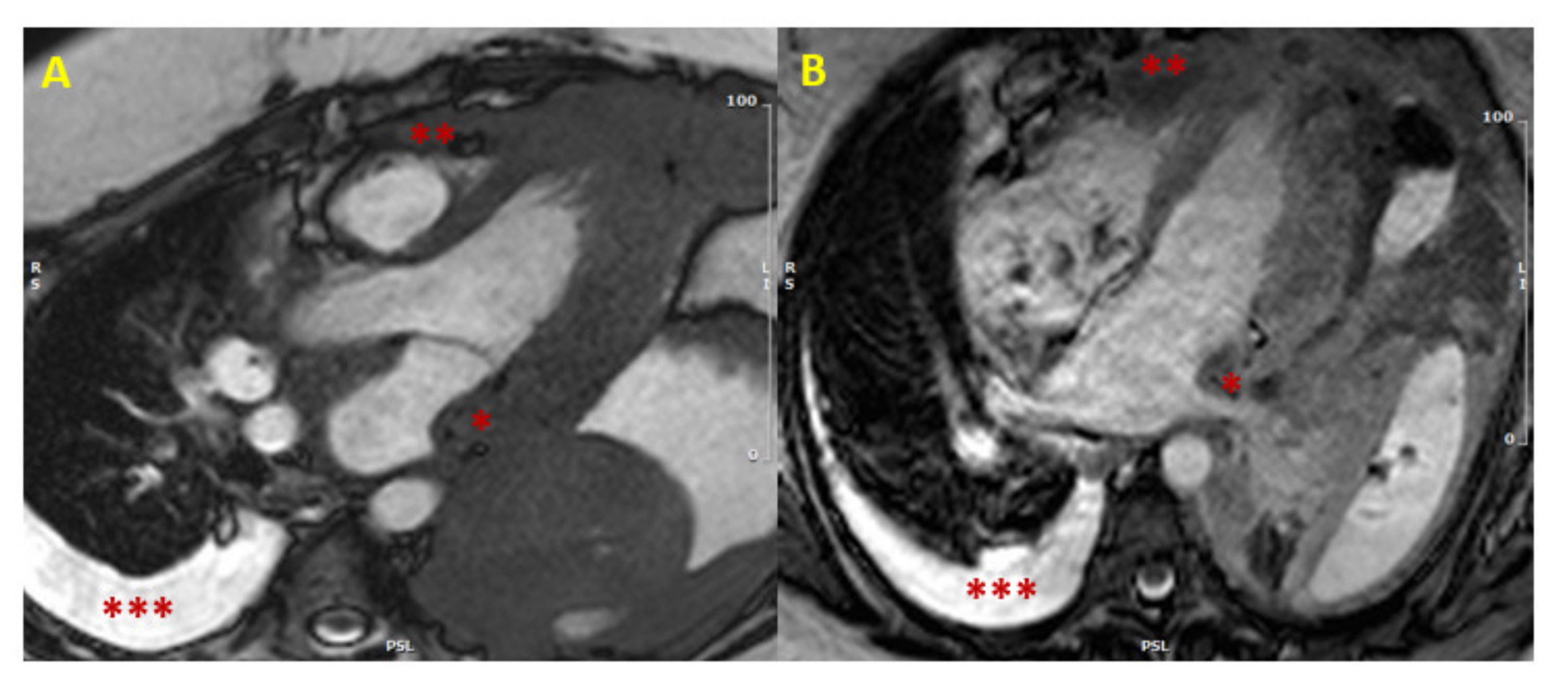 Jcm 10 01683 g001 Jcm 10 01683 g001
