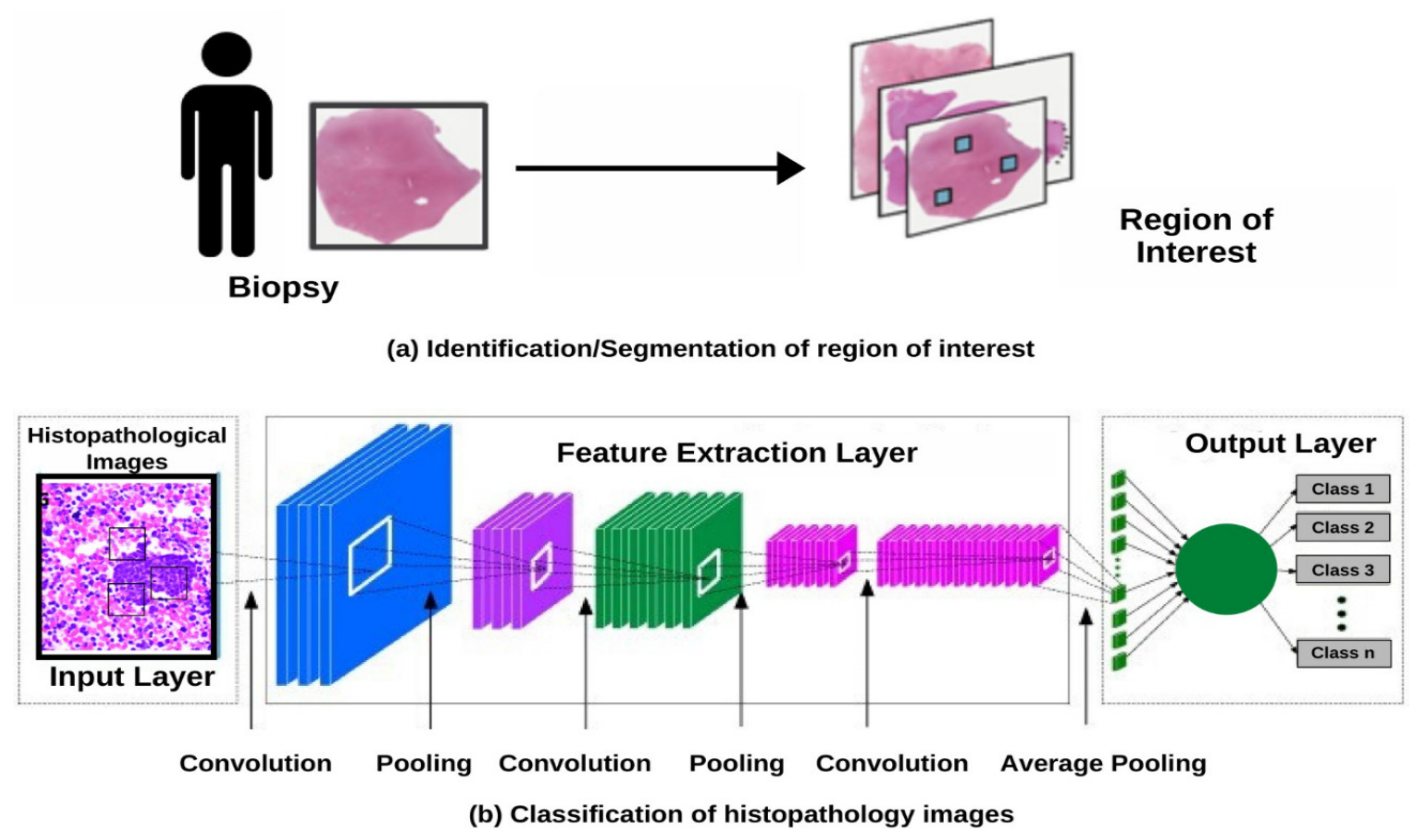 Jcm 10 01864 g004 Jcm 10 01864 g004