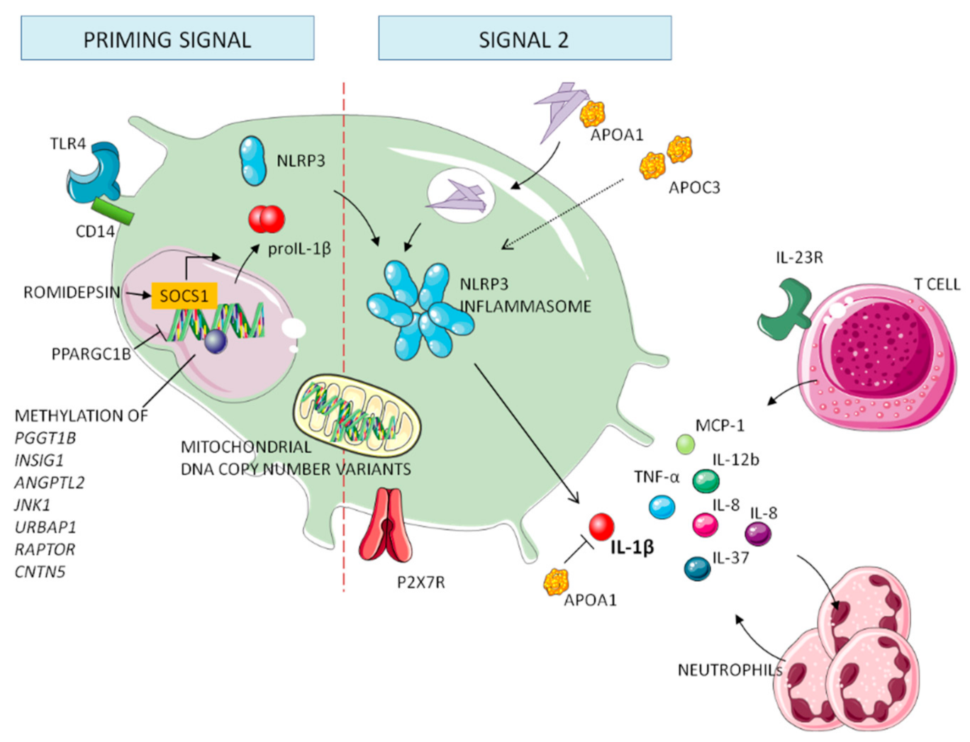 Jcm 10 01880 g003 Jcm 10 01880 g003