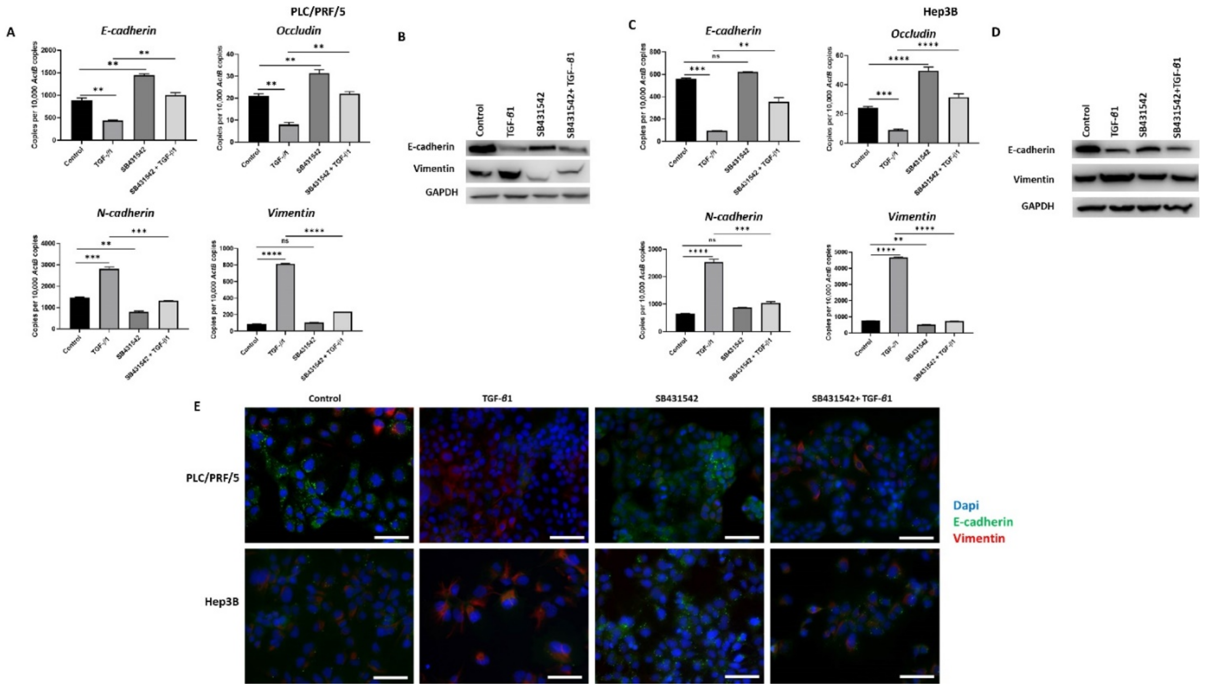 Jcm 10 01889 g003 Jcm 10 01889 g003