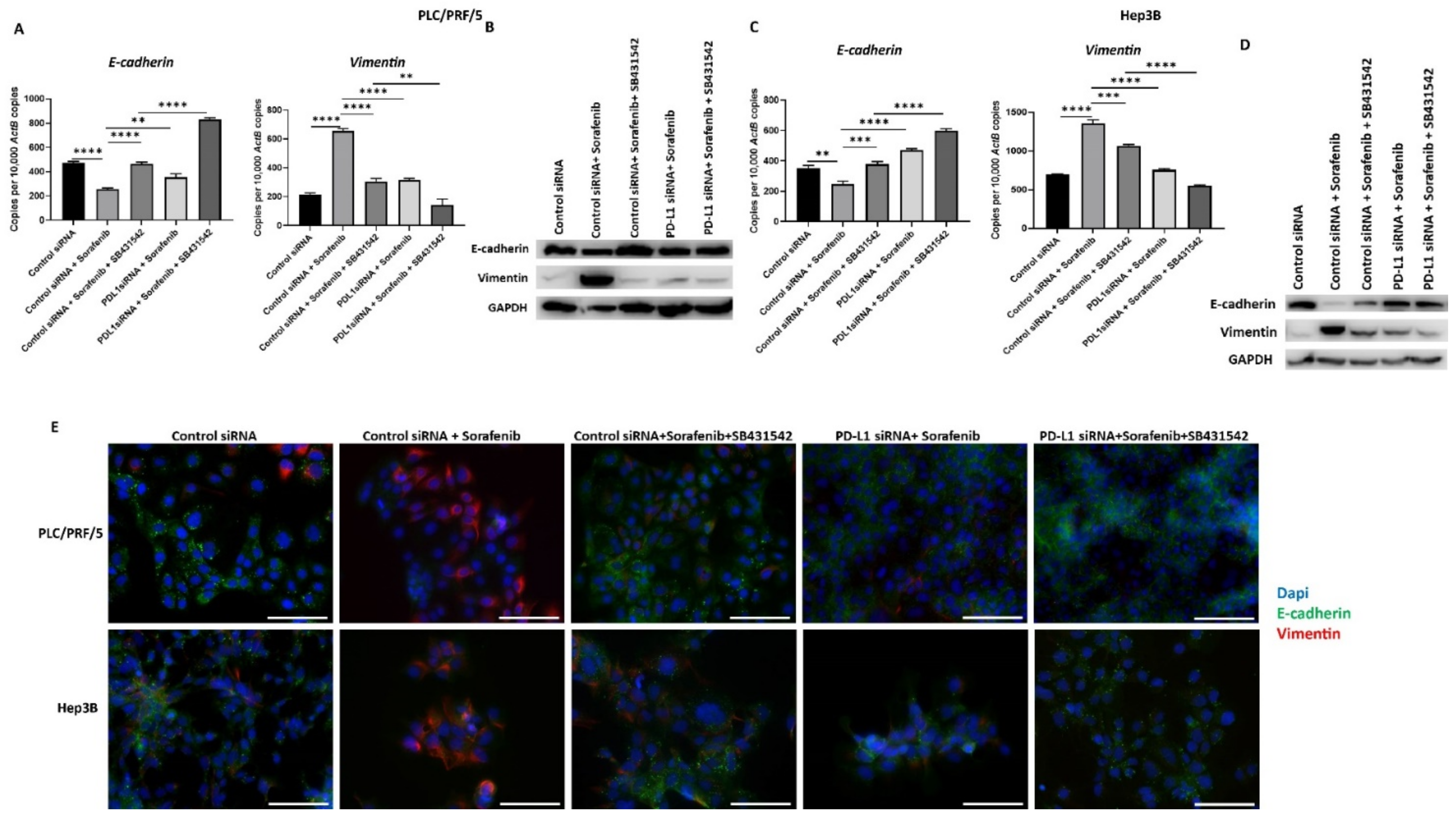 Jcm 10 01889 g010 Jcm 10 01889 g010