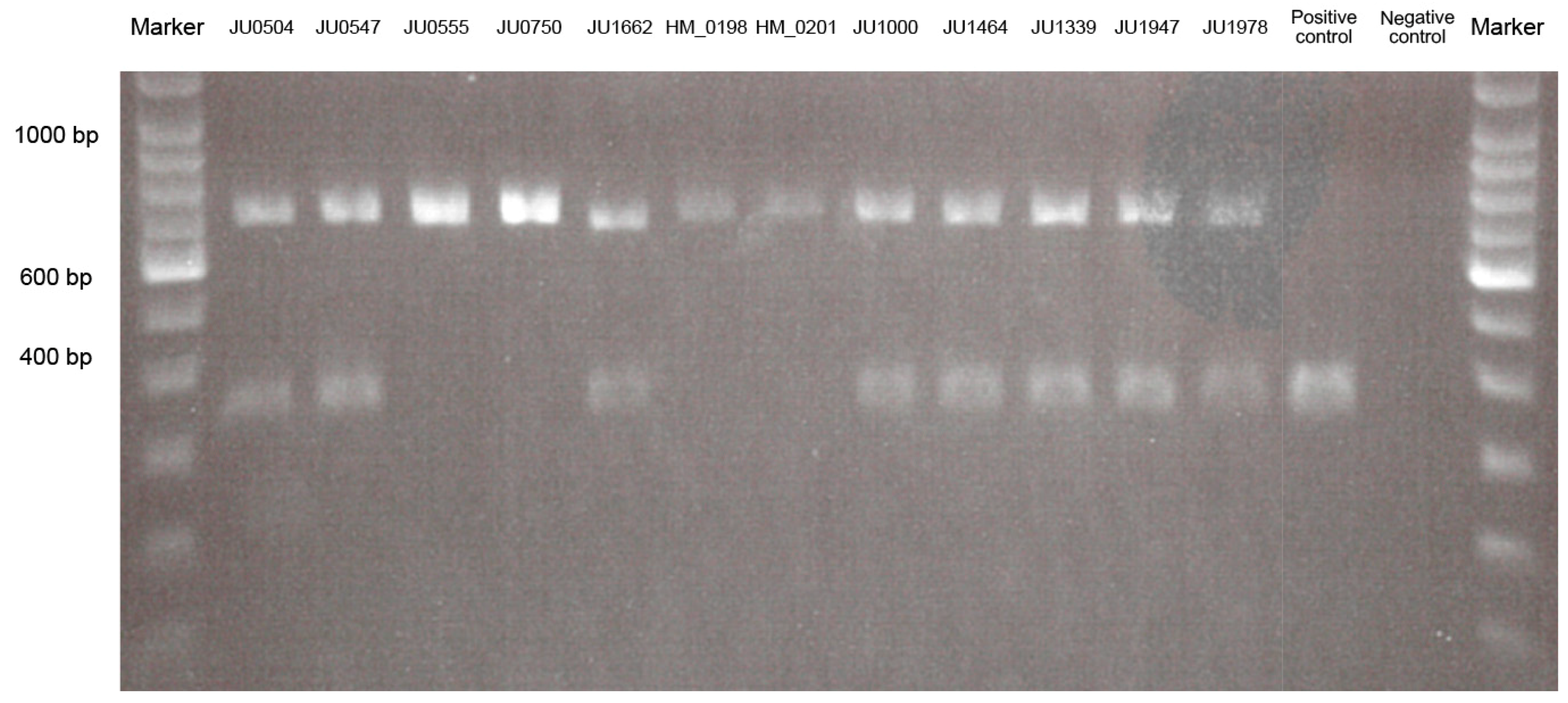 Jcm 10 02265 g002 Jcm 10 02265 g002