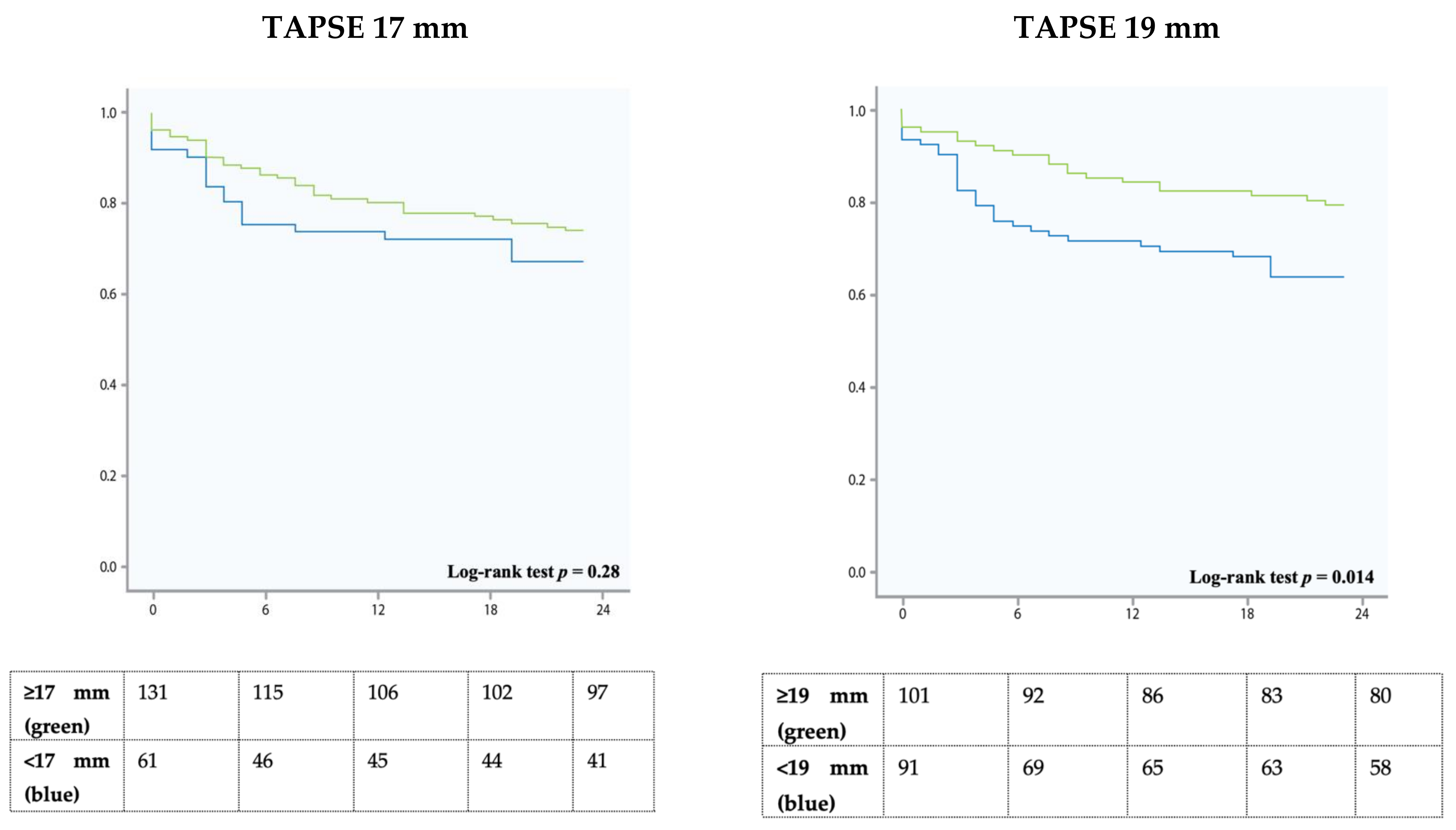 Jcm 10 02266 g001 Jcm 10 02266 g001