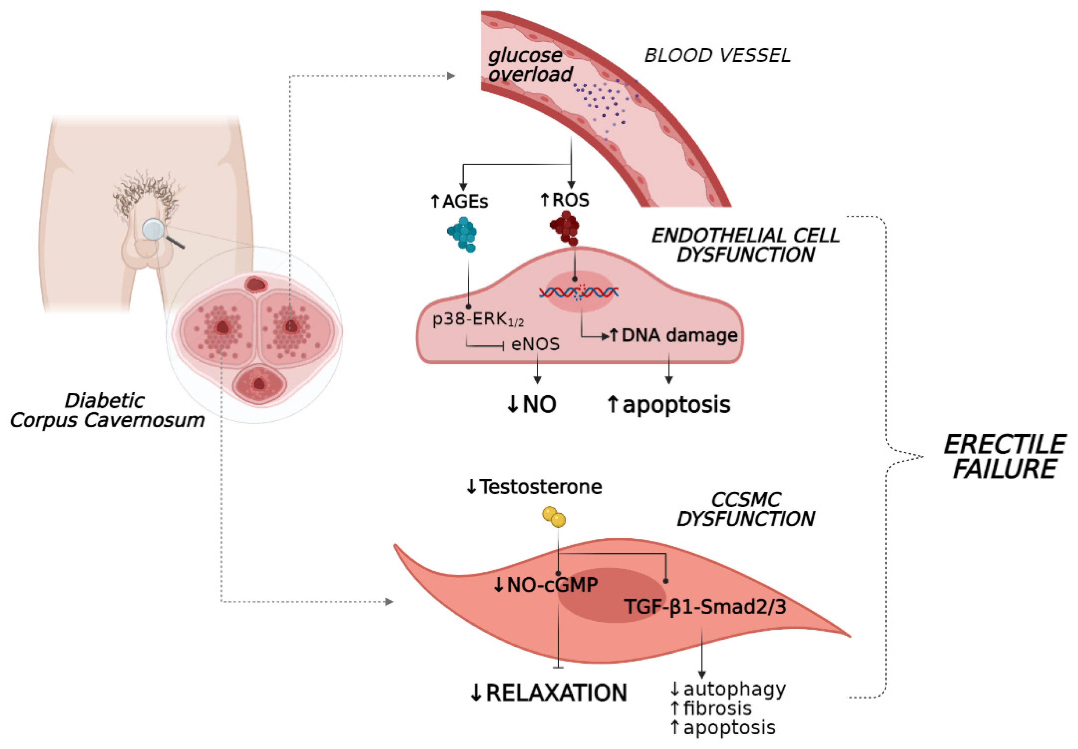 Jcm 10 02501 g001 Jcm 10 02501 g001