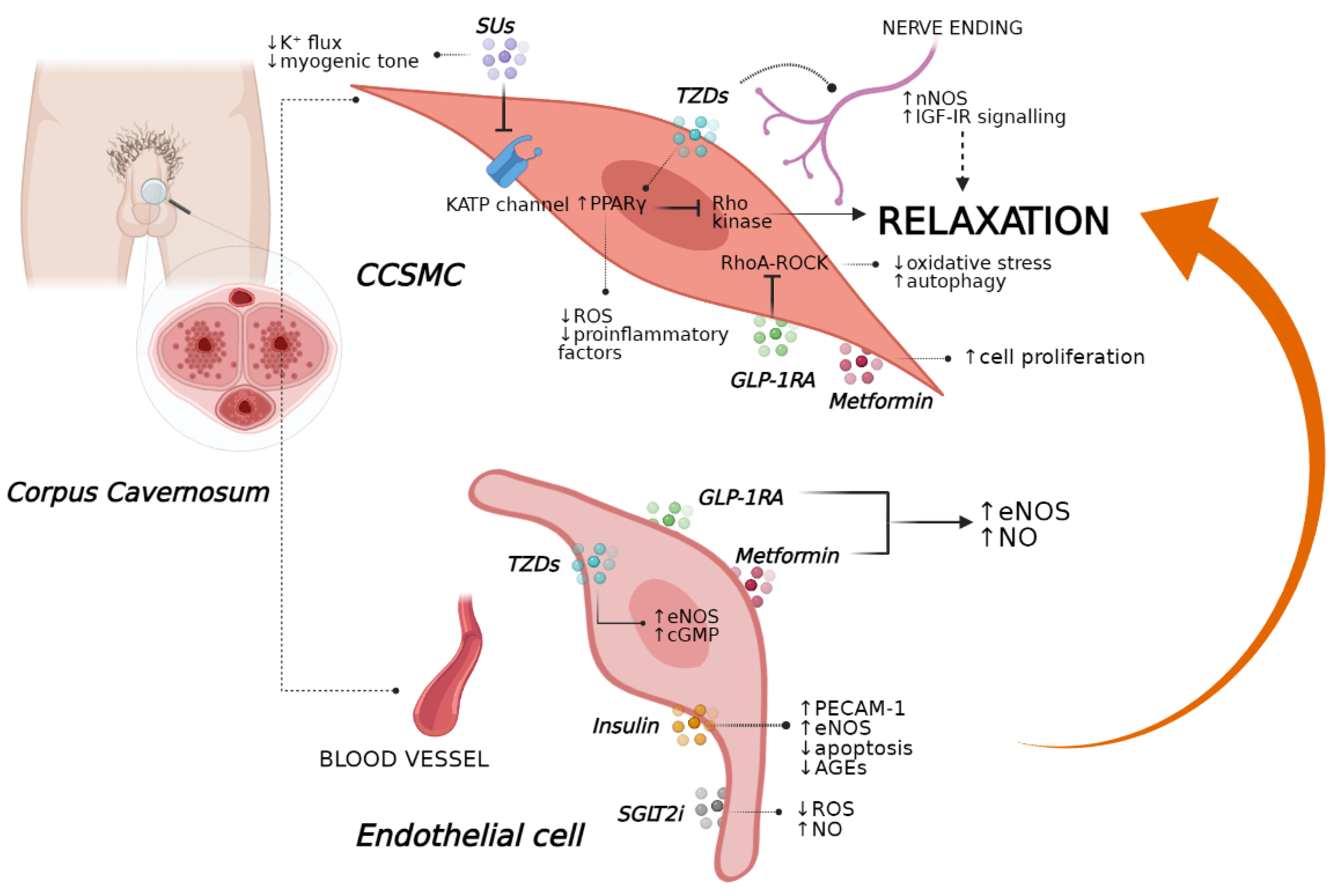 Jcm 10 02501 g002 Jcm 10 02501 g002