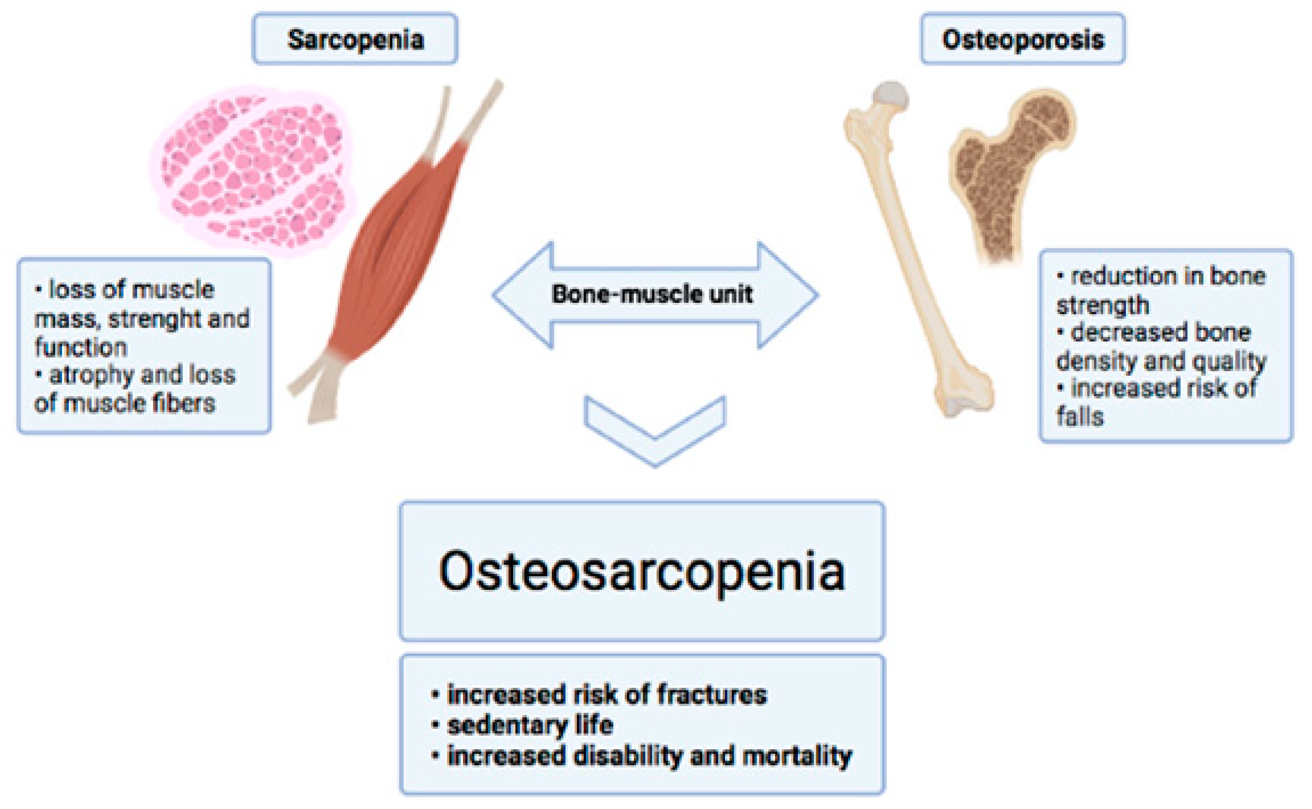 Jcm 10 02597 g004 Jcm 10 02597 g004
