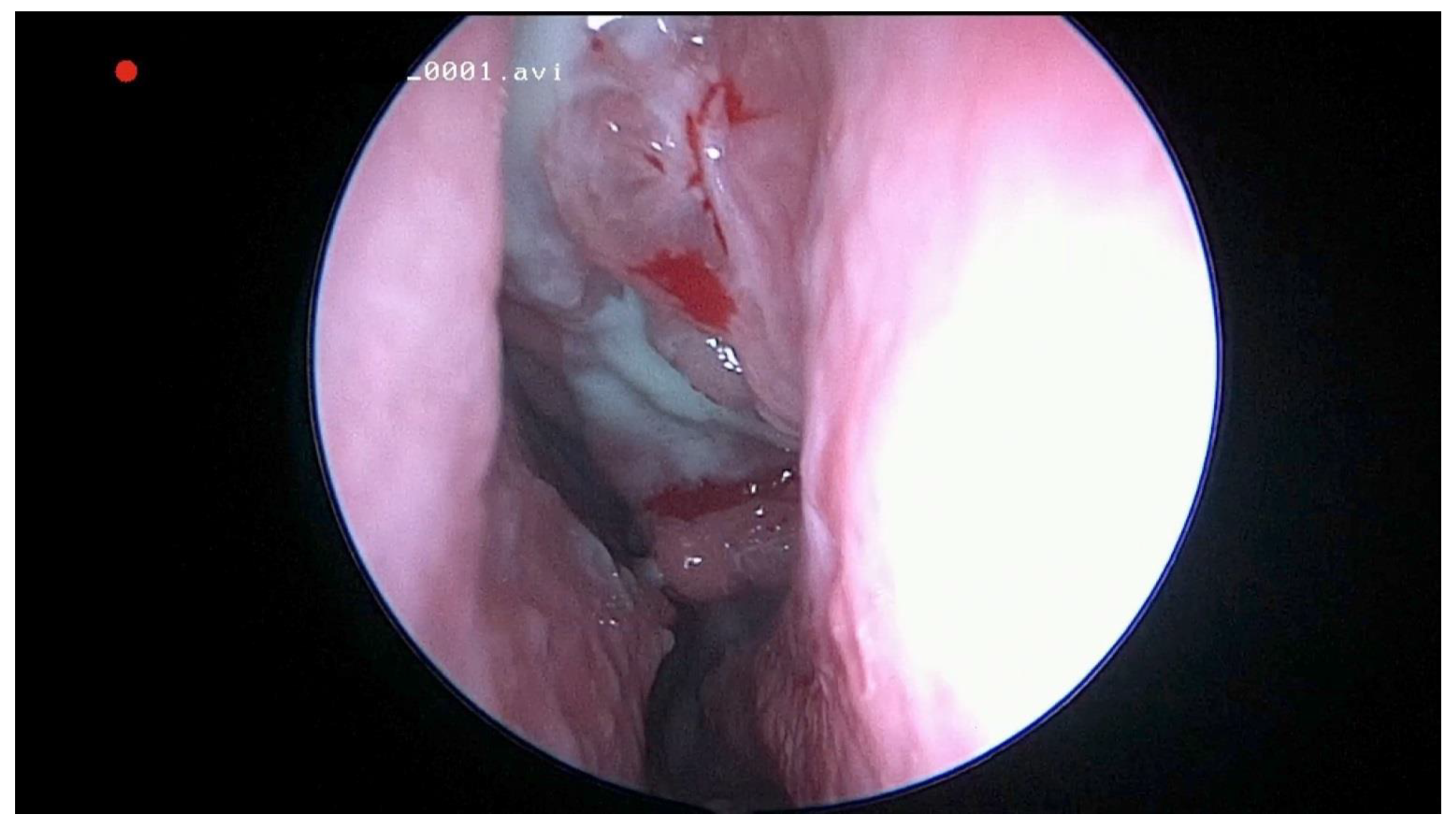 Jcm 10 02712 g001 Jcm 10 02712 g001