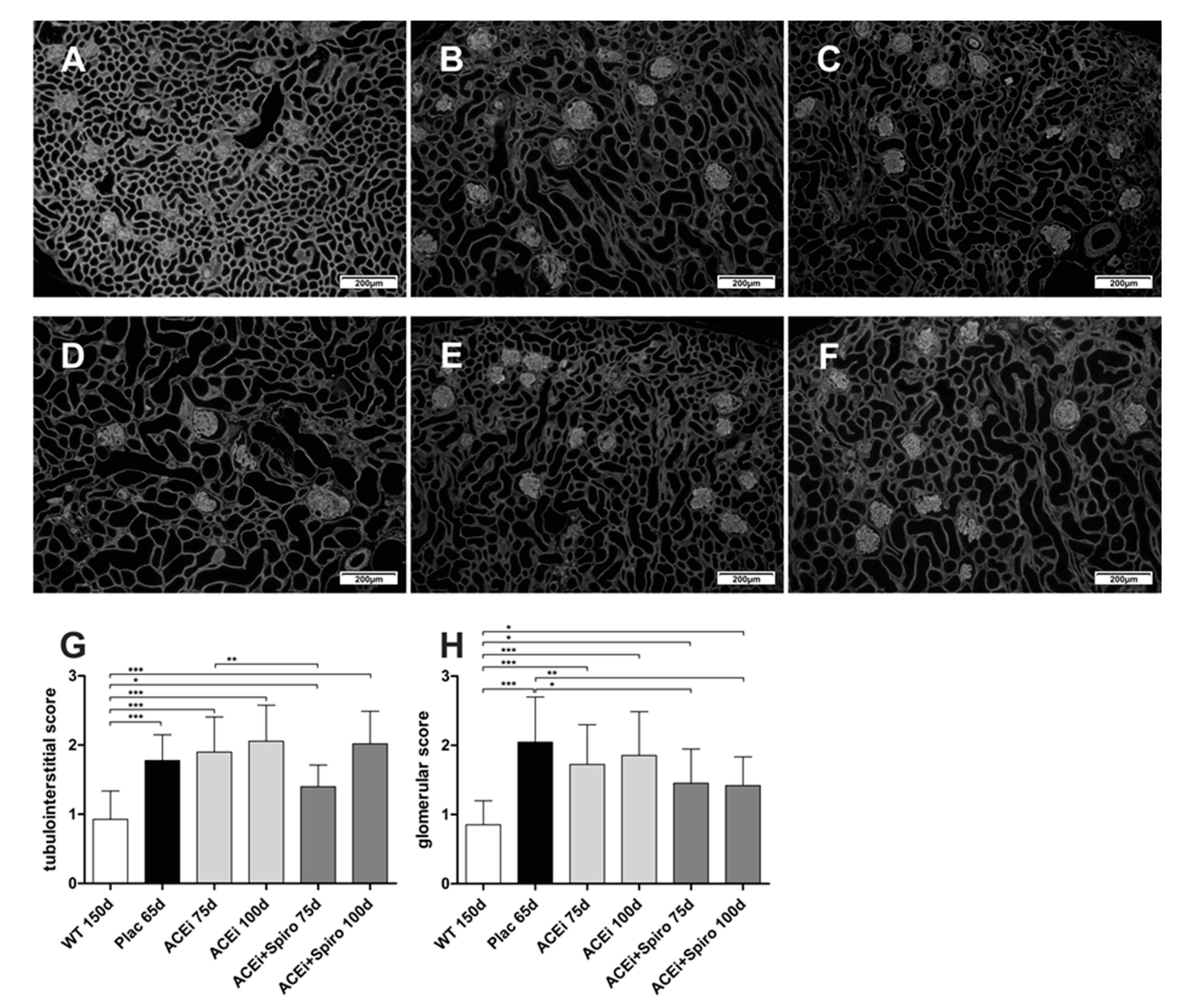 Jcm 10 02958 g003 Jcm 10 02958 g003