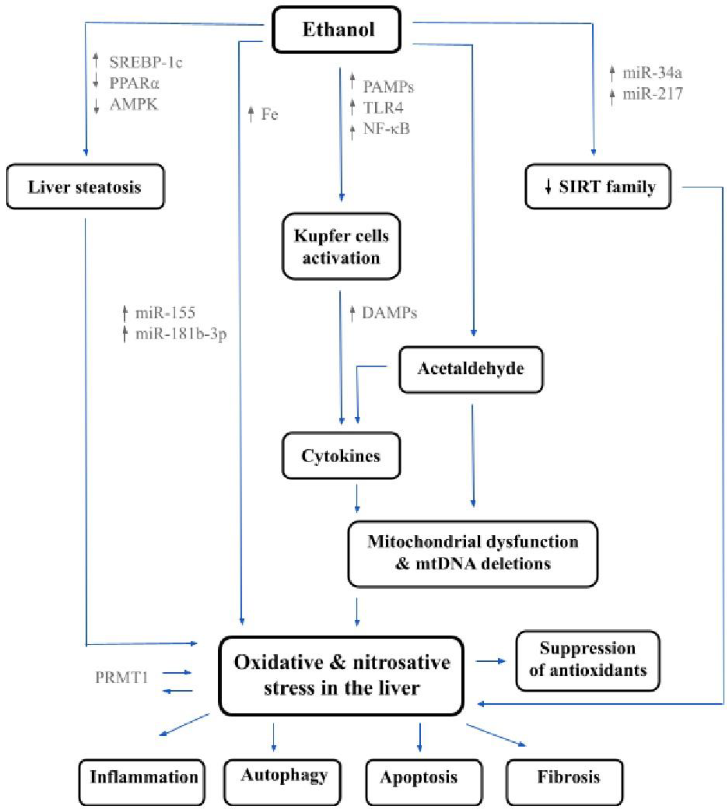 Jcm 10 03011 g002 Jcm 10 03011 g002