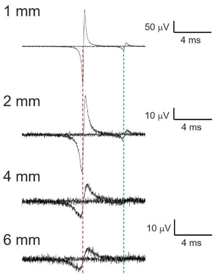 Jcm 10 03065 g0a1 550