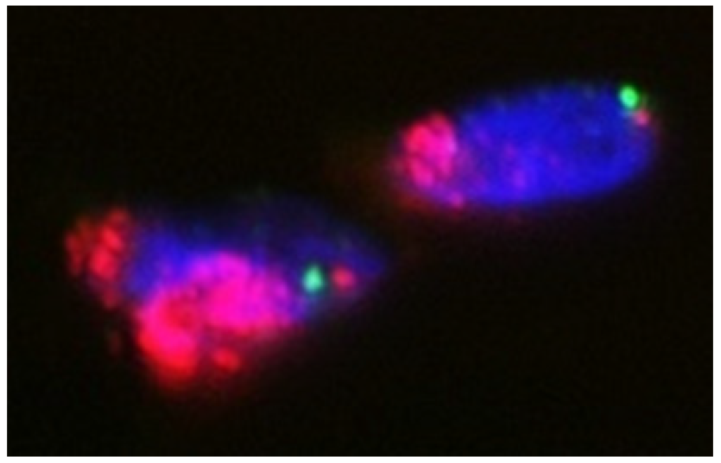 Jcm 10 03230 g005 Jcm 10 03230 g005