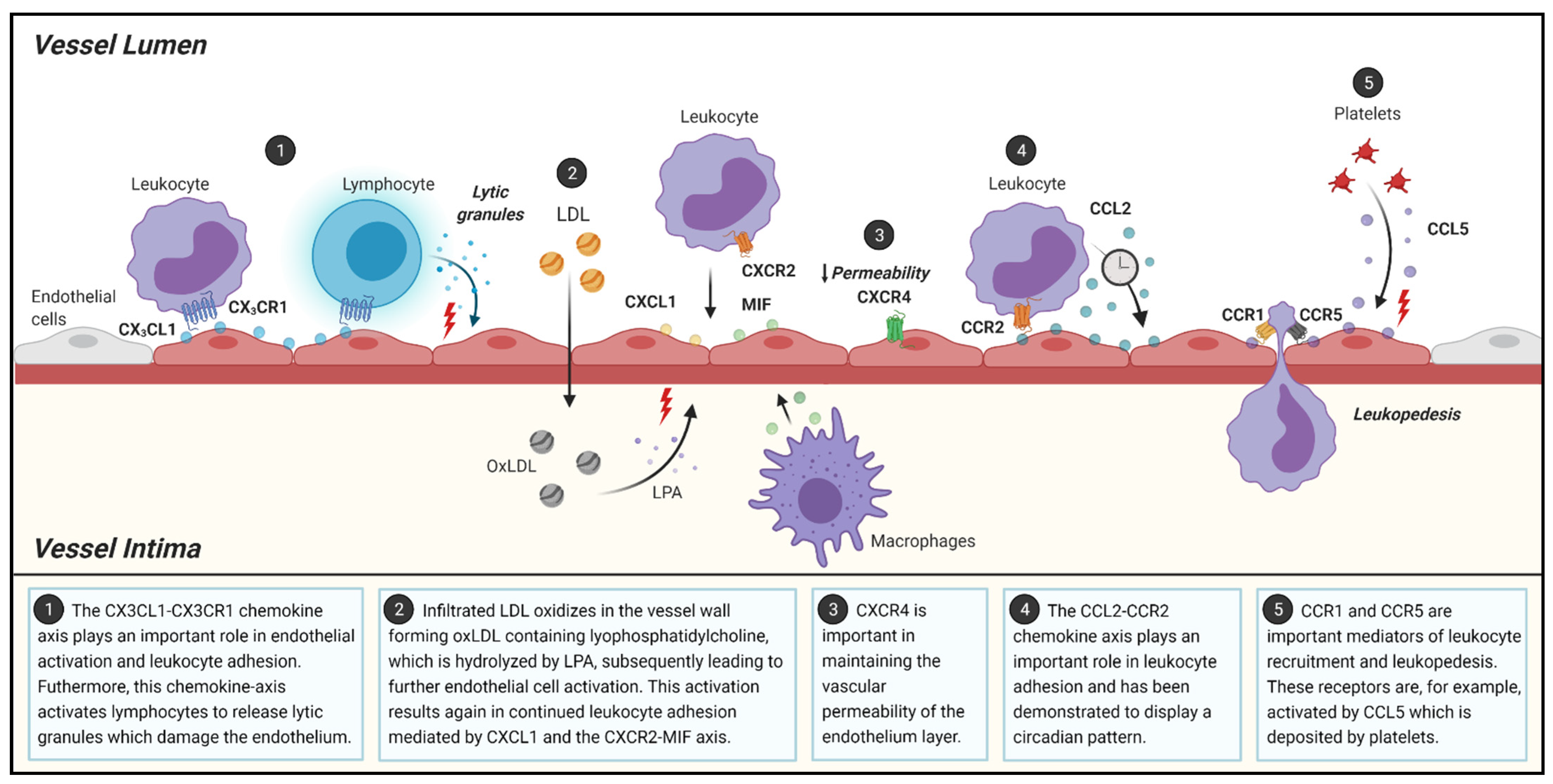 Jcm 10 03825 g001 Jcm 10 03825 g001
