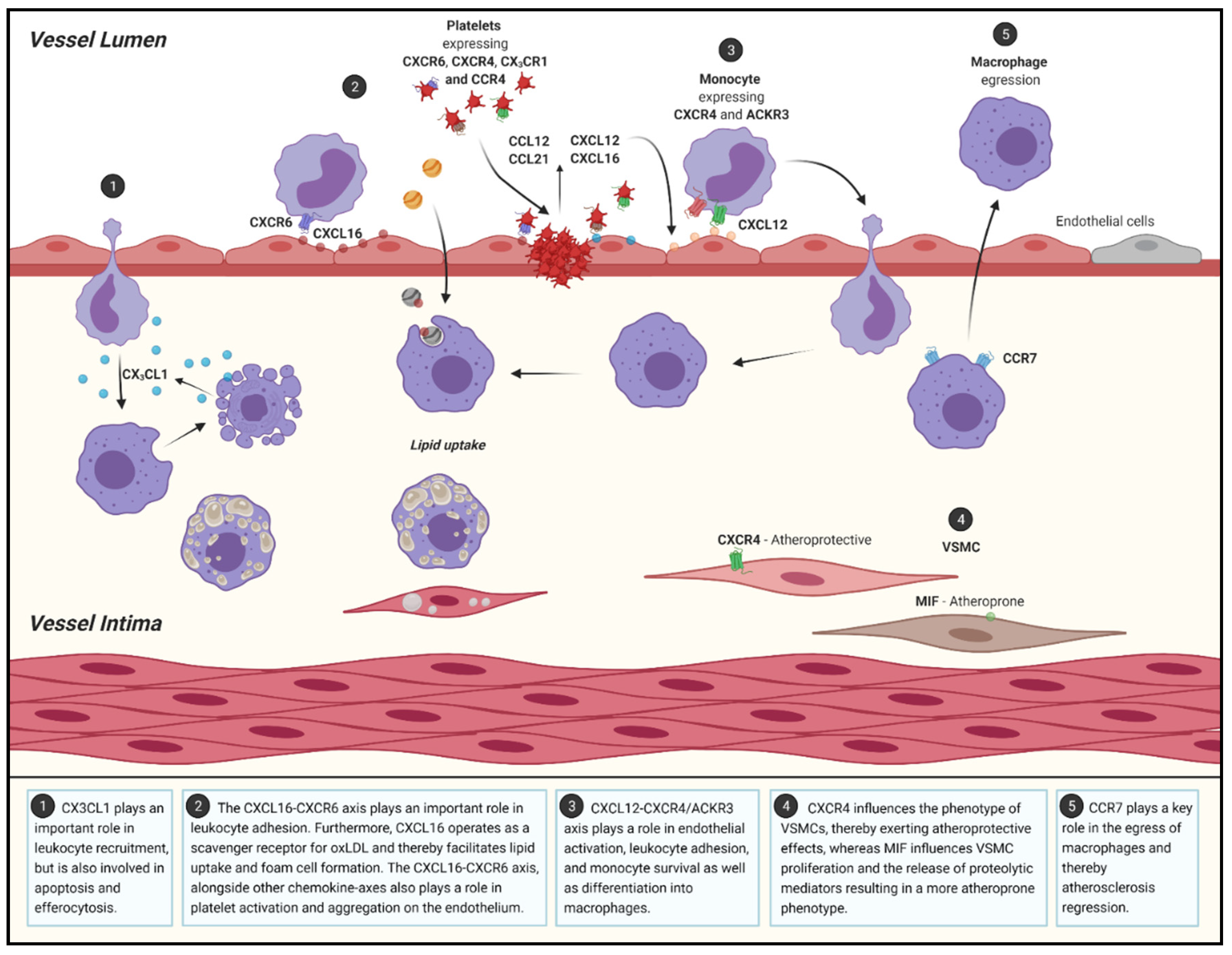 Jcm 10 03825 g002 Jcm 10 03825 g002