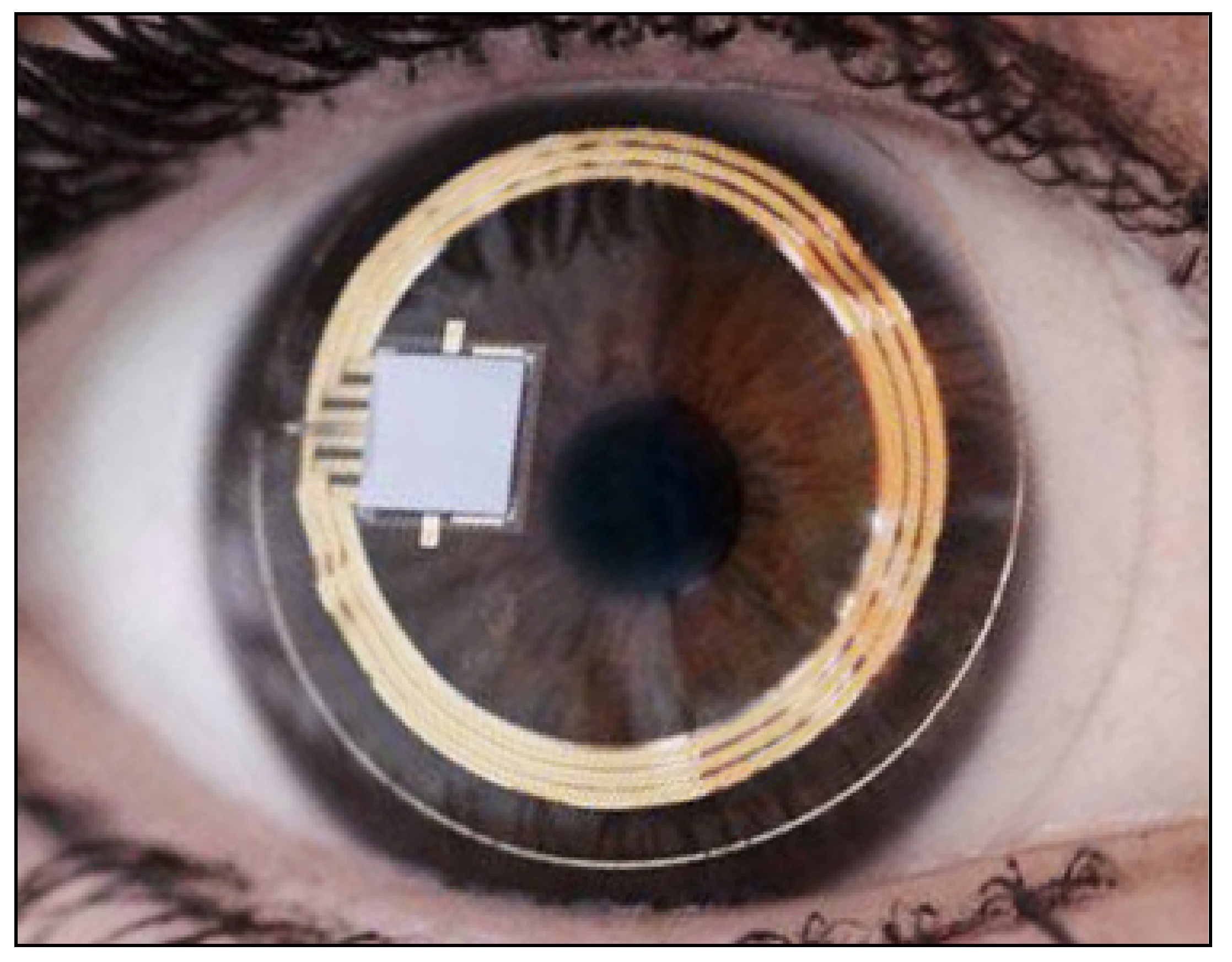 Jcm 10 03860 g017 Jcm 10 03860 g017