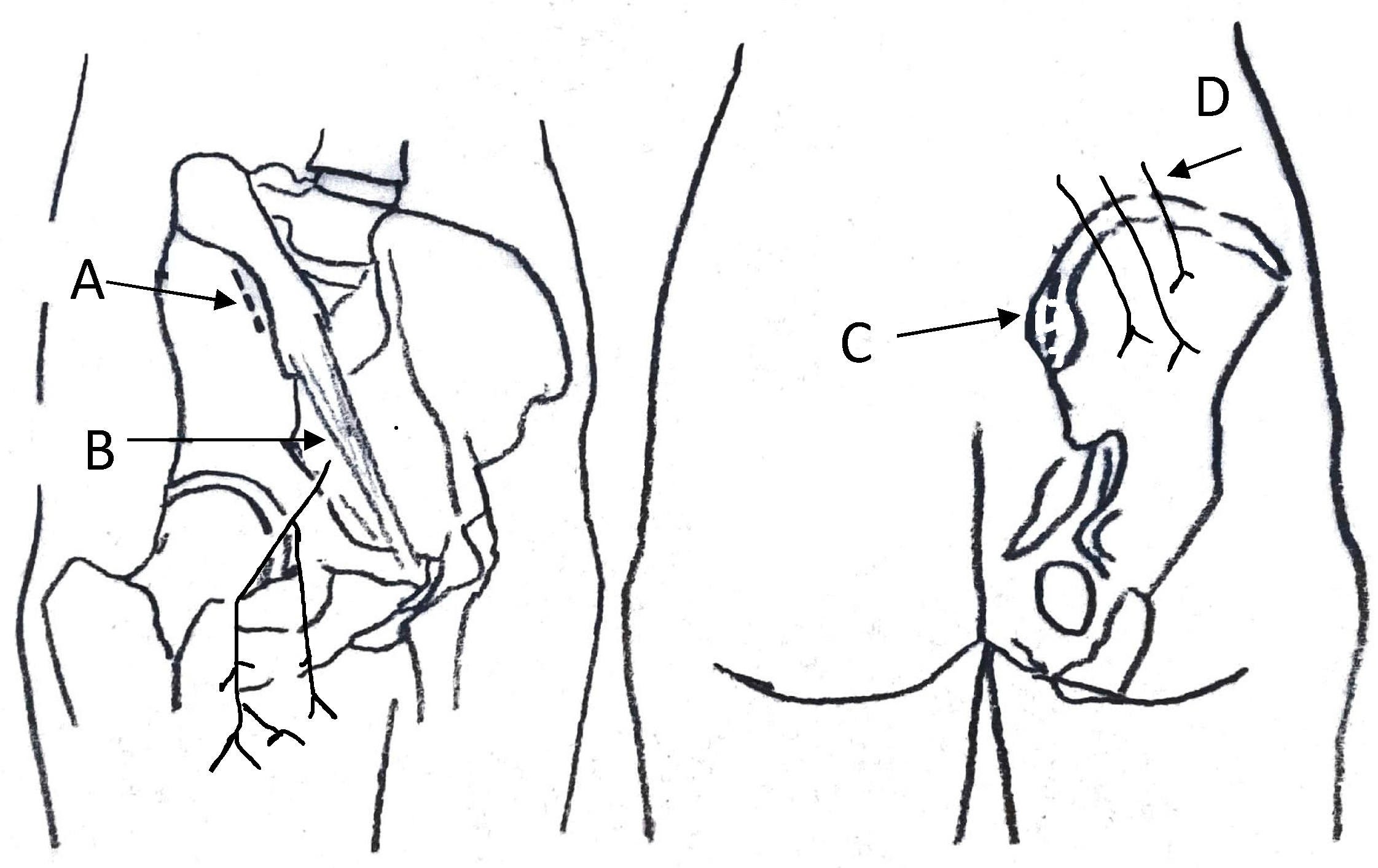 Jcm 10 04347 g002 Jcm 10 04347 g002