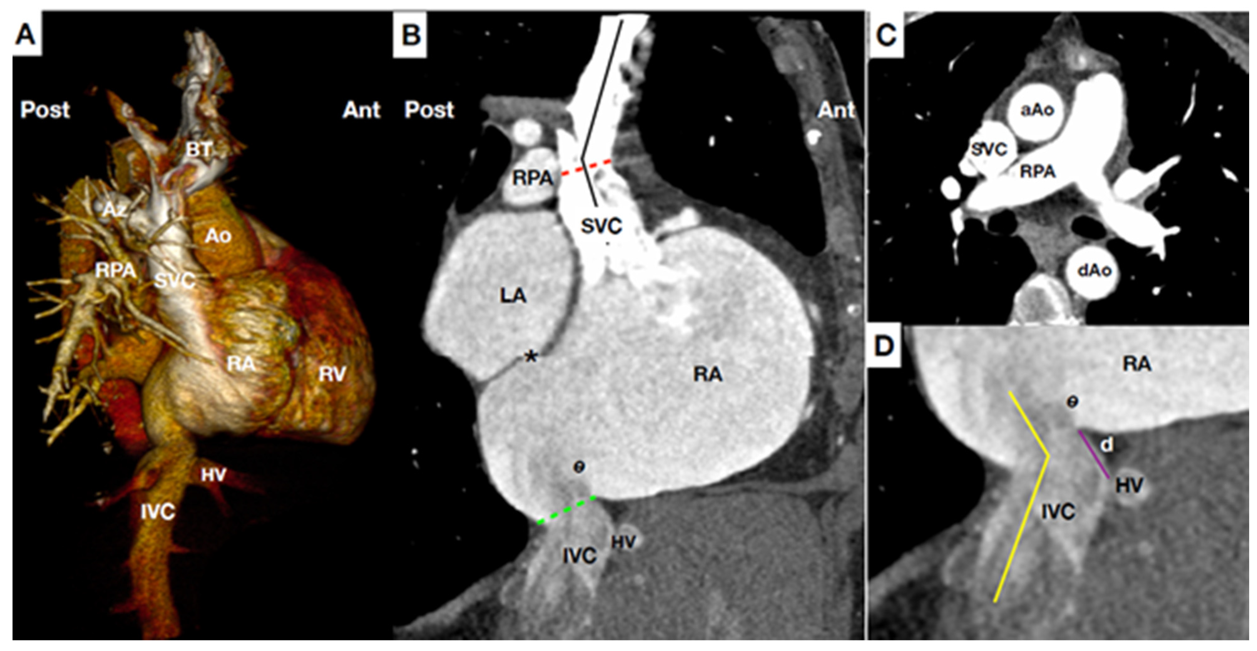 Jcm 10 04601 g001 Jcm 10 04601 g001