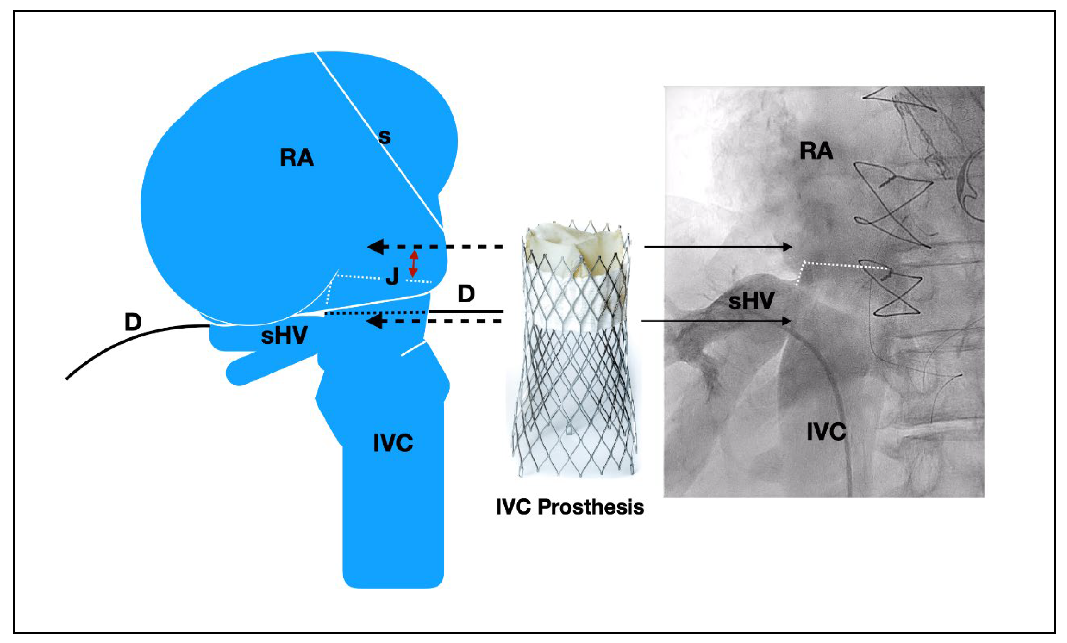 Jcm 10 04601 g003 Jcm 10 04601 g003