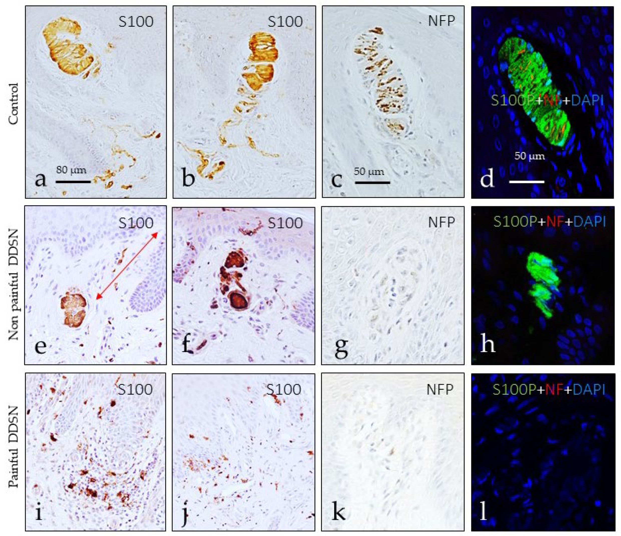 Jcm 10 04609 g002 Jcm 10 04609 g002