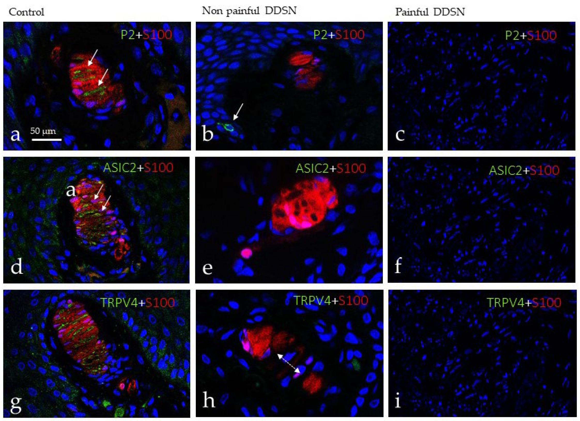 Jcm 10 04609 g003 Jcm 10 04609 g003