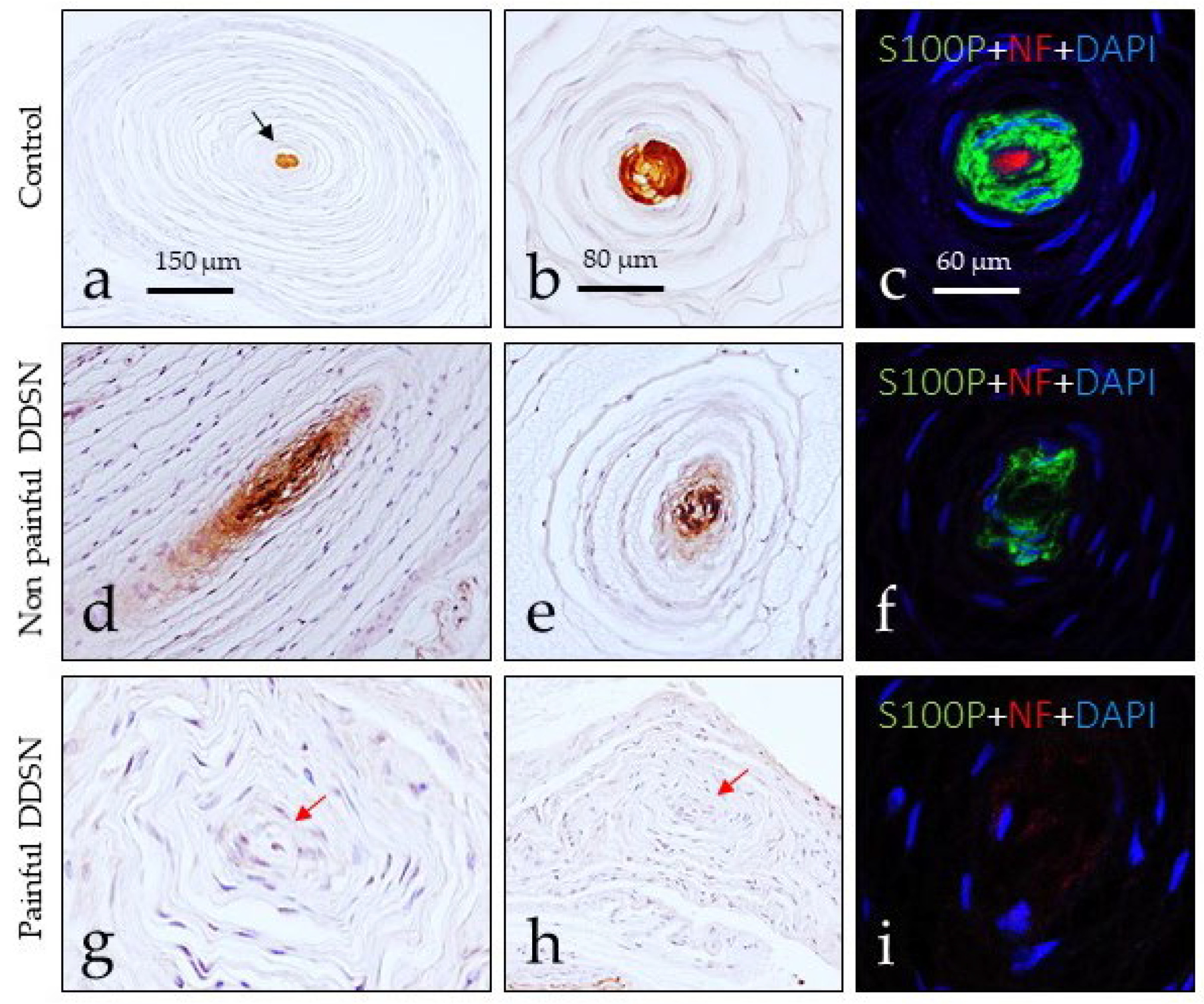 Jcm 10 04609 g004 Jcm 10 04609 g004