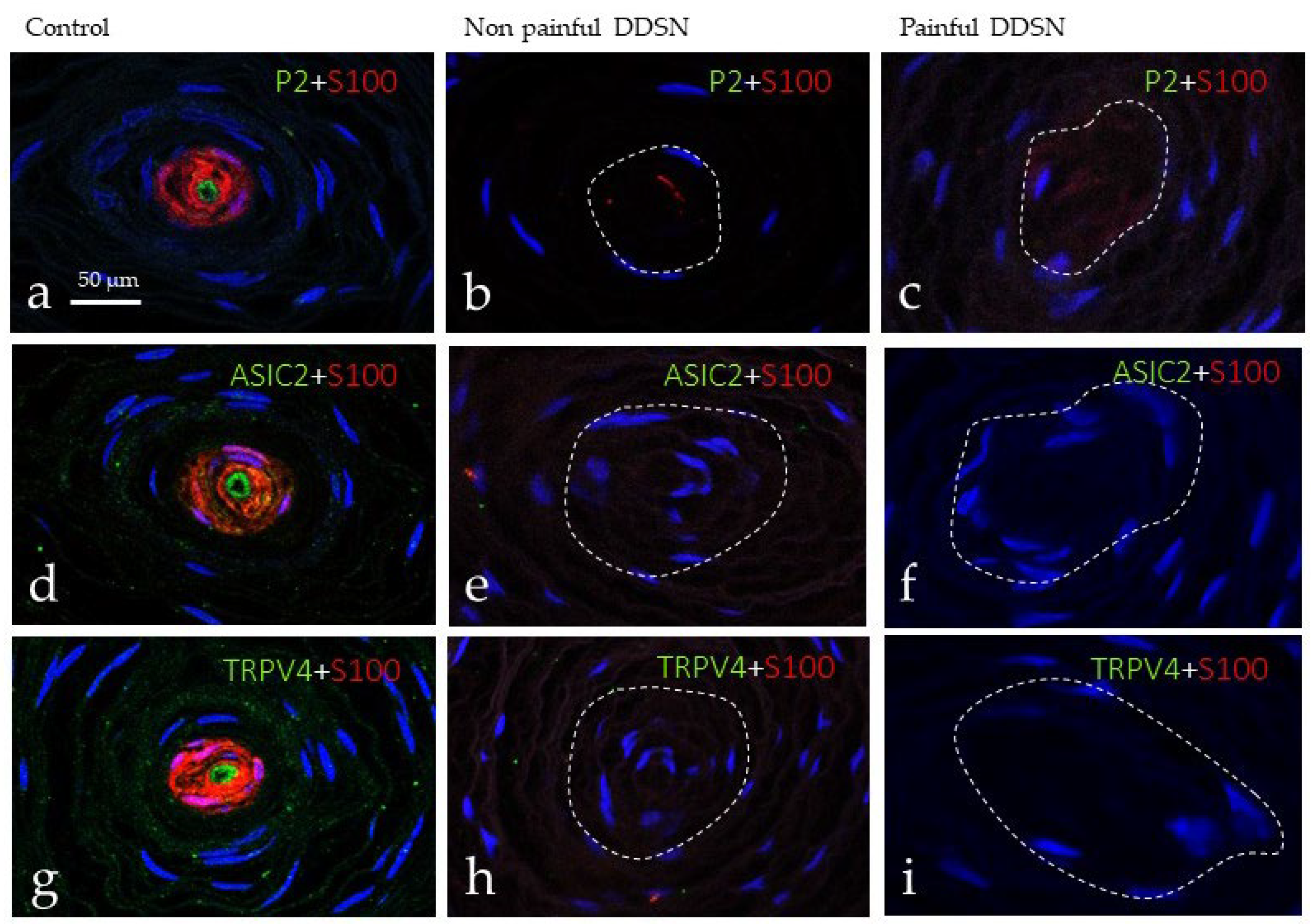 Jcm 10 04609 g005 Jcm 10 04609 g005