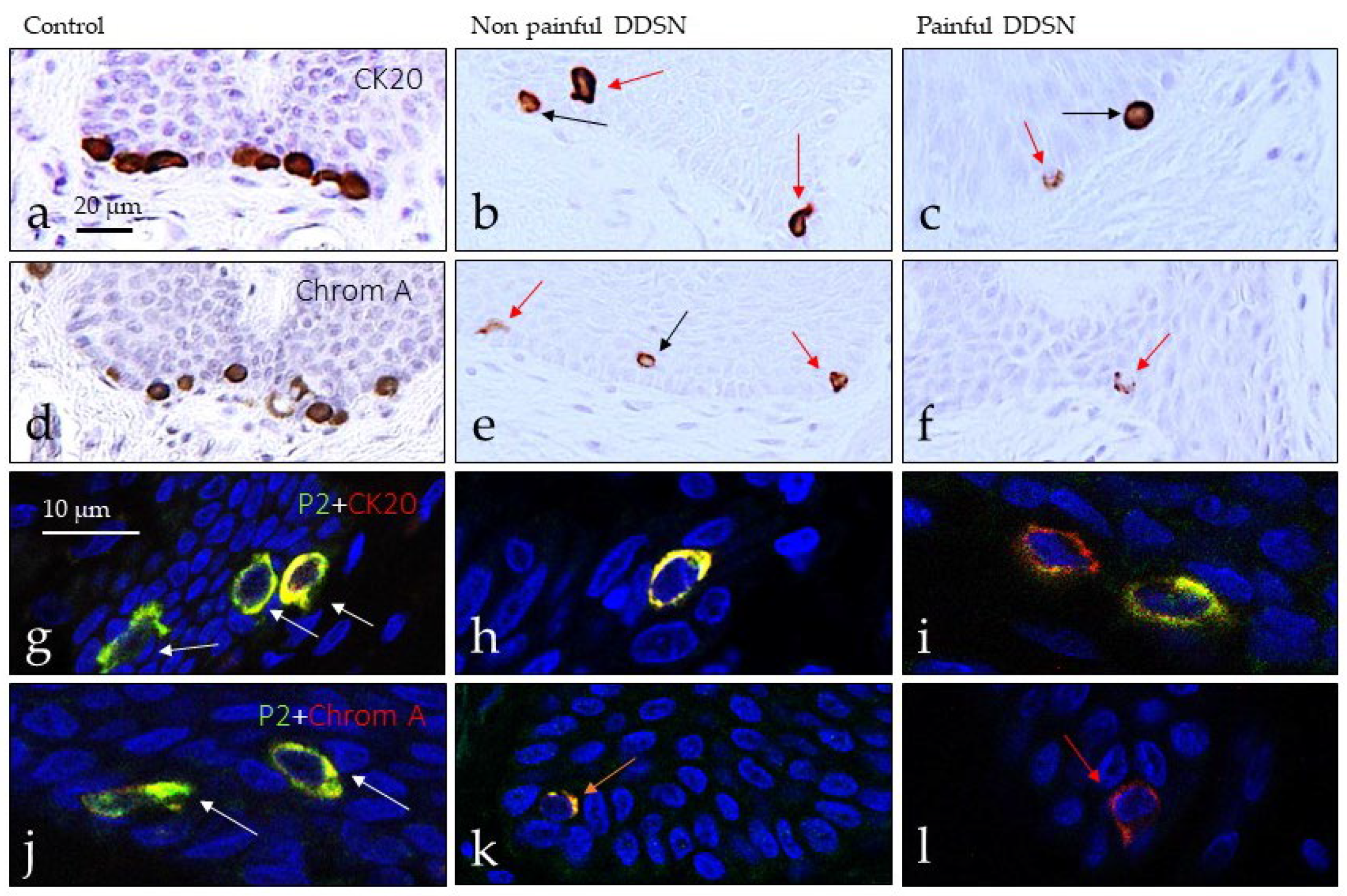 Jcm 10 04609 g006 Jcm 10 04609 g006