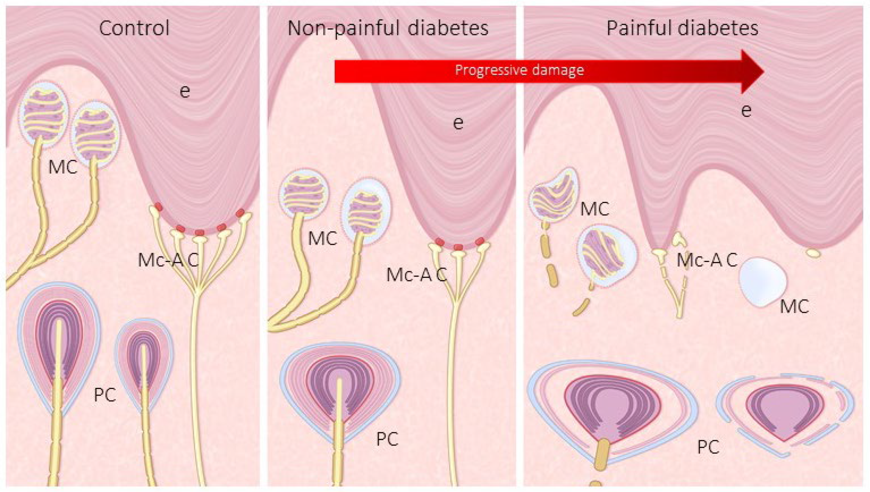 Jcm 10 04609 g008 Jcm 10 04609 g008