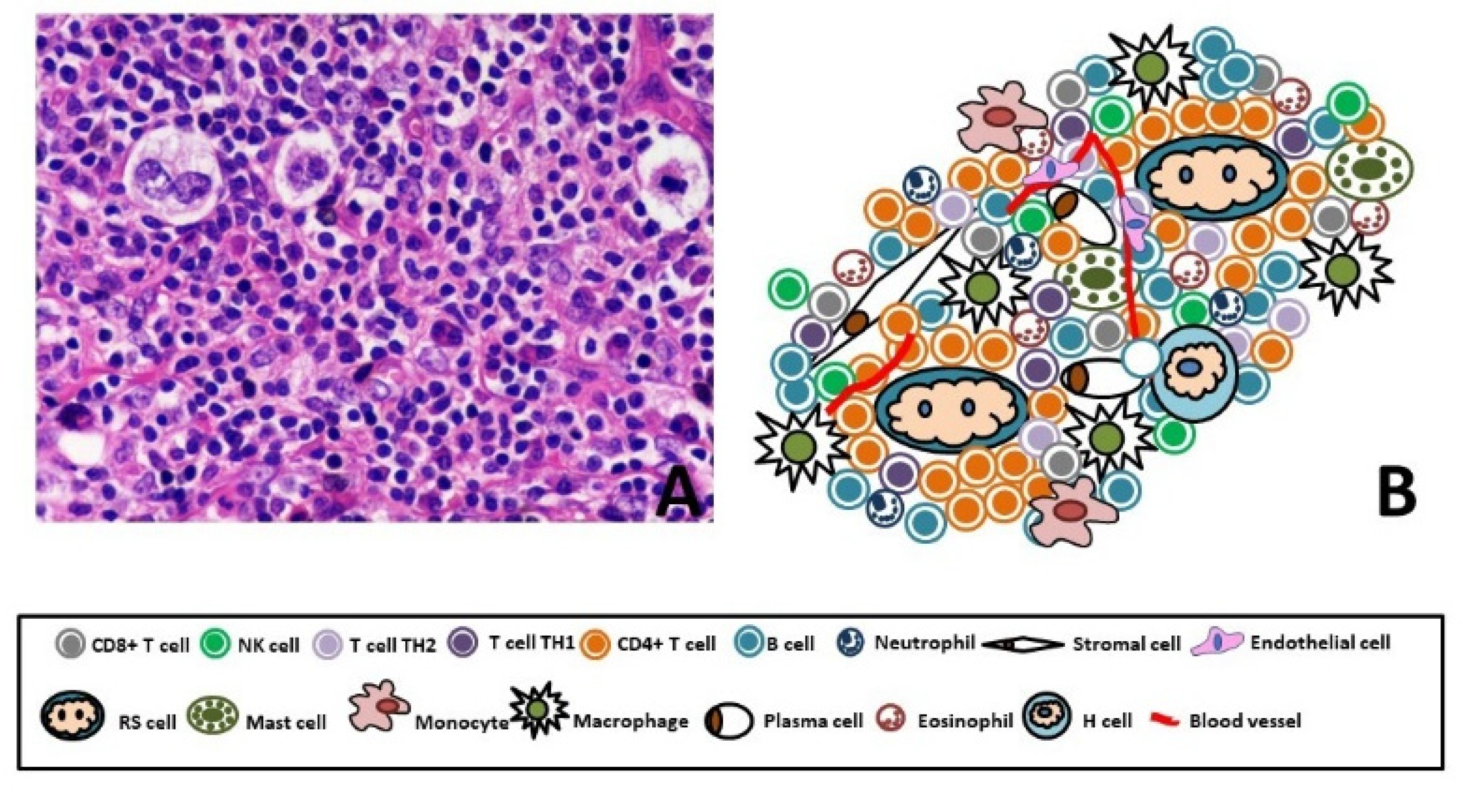 Jcm 10 04665 g001 Jcm 10 04665 g001