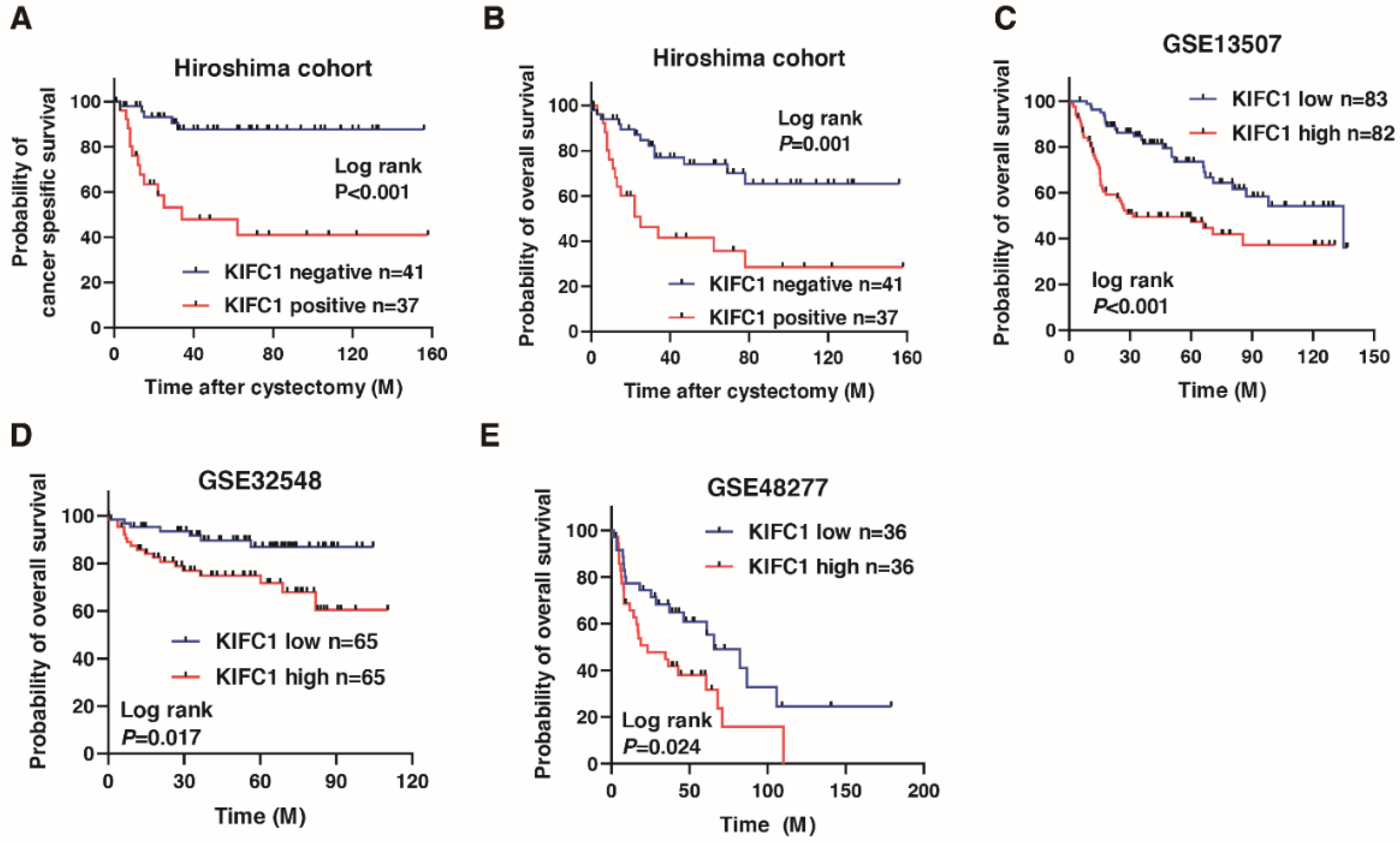 Jcm 10 04837 g002 Jcm 10 04837 g002