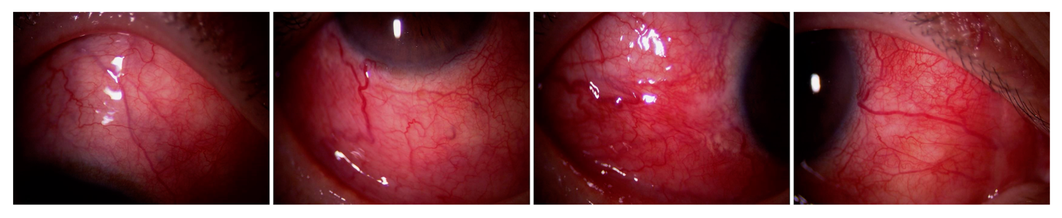 Jcm 10 04970 g001 Jcm 10 04970 g001