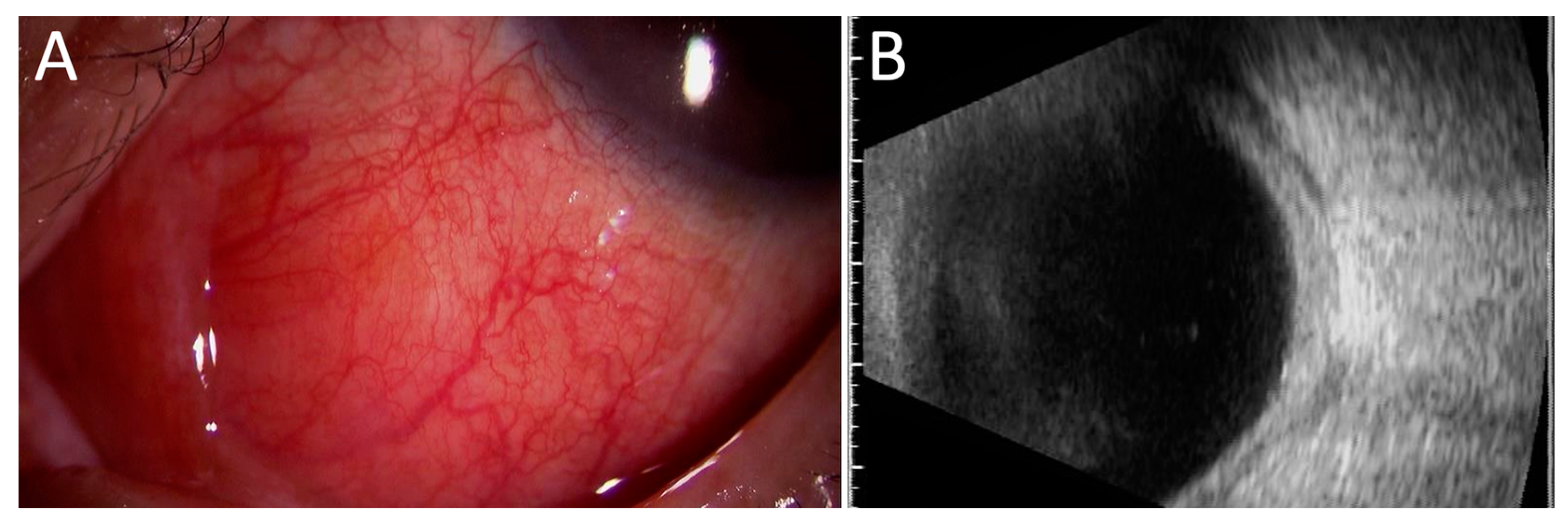 Jcm 10 04970 g002 Jcm 10 04970 g002