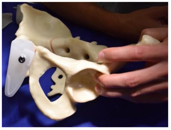 Jcm 10 05049 g0a2 550