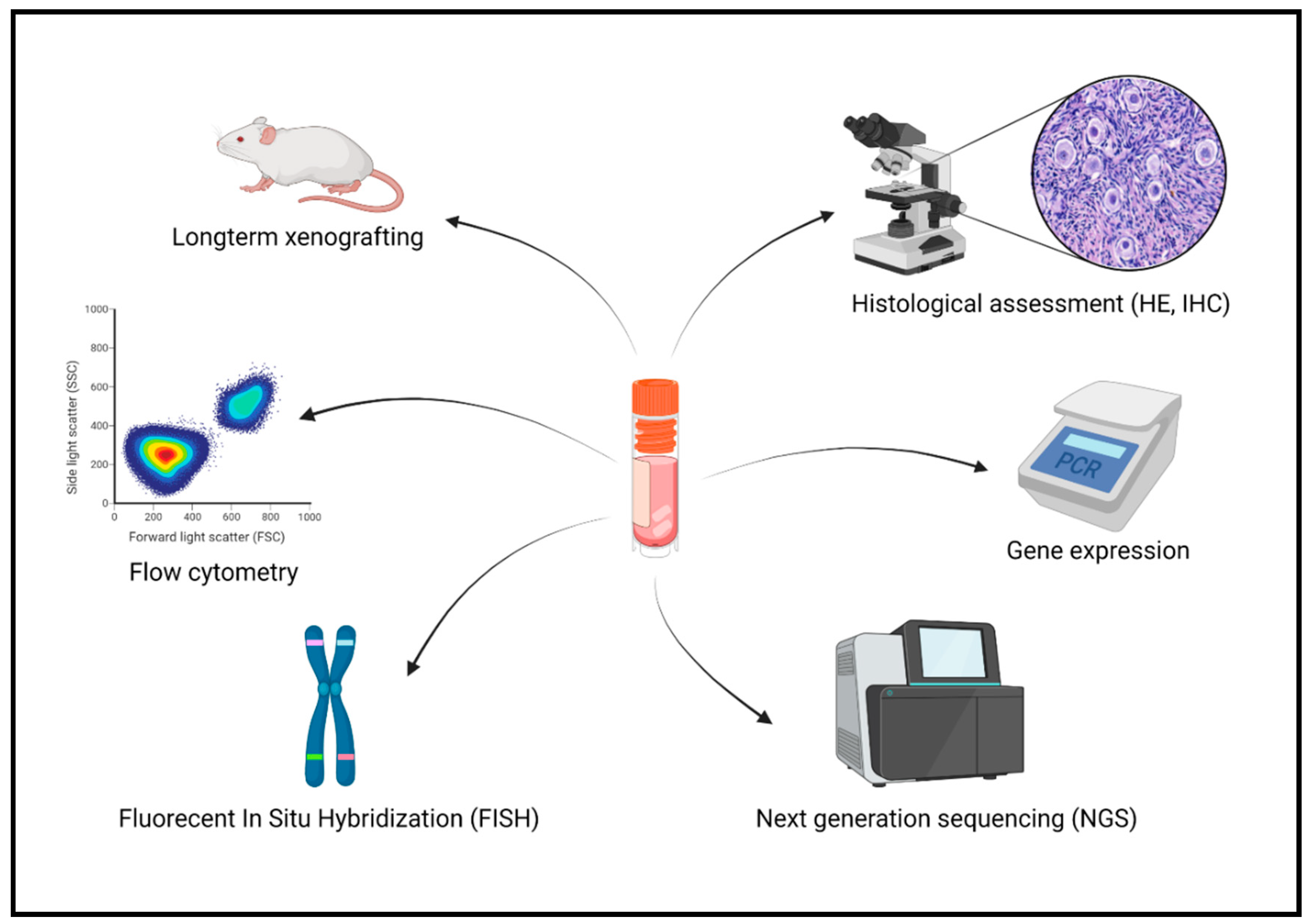 Jcm 10 05247 g003 Jcm 10 05247 g003