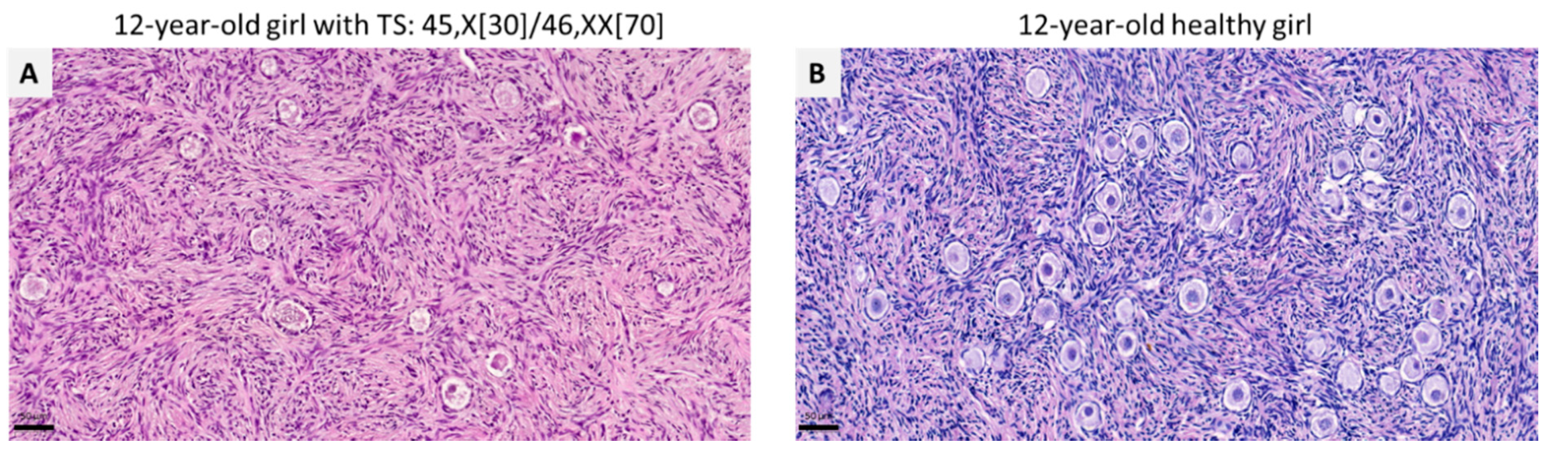 Jcm 10 05247 g004 Jcm 10 05247 g004