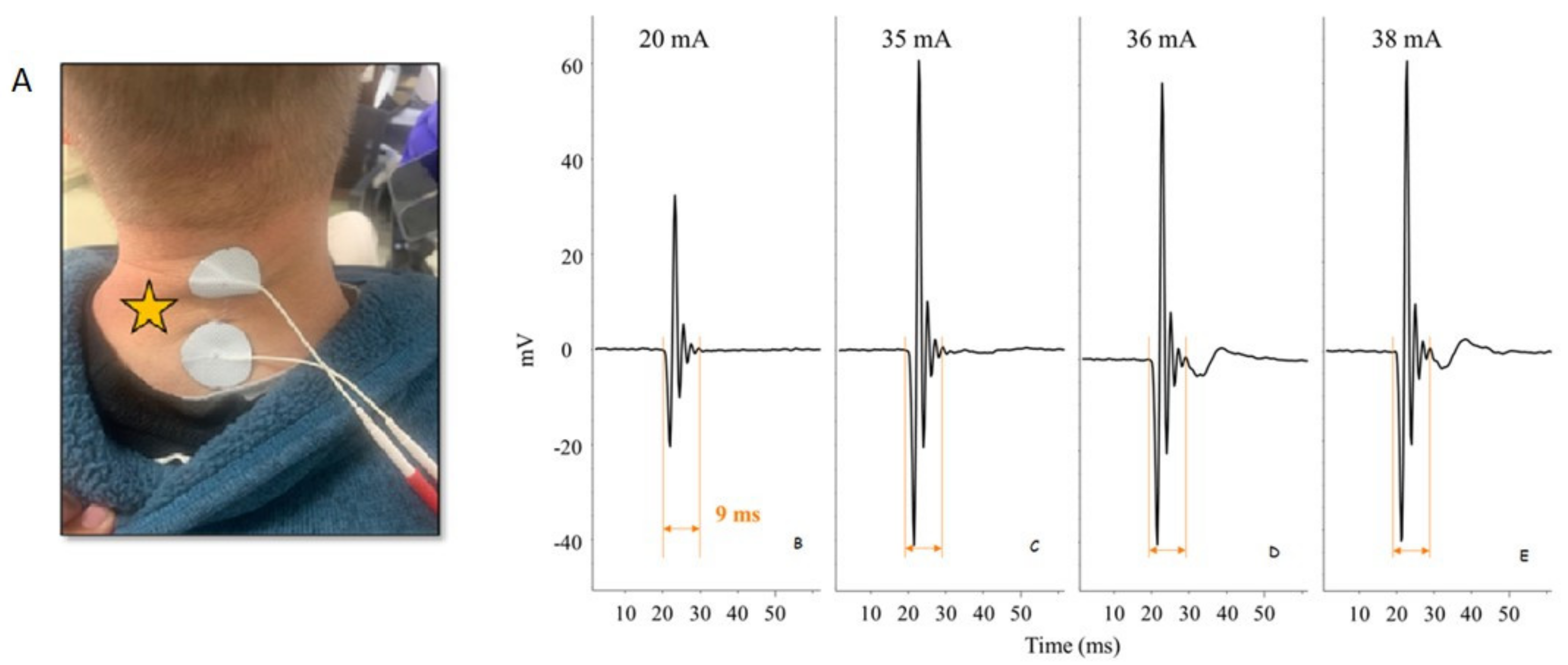 Jcm 10 05356 g001 Jcm 10 05356 g001