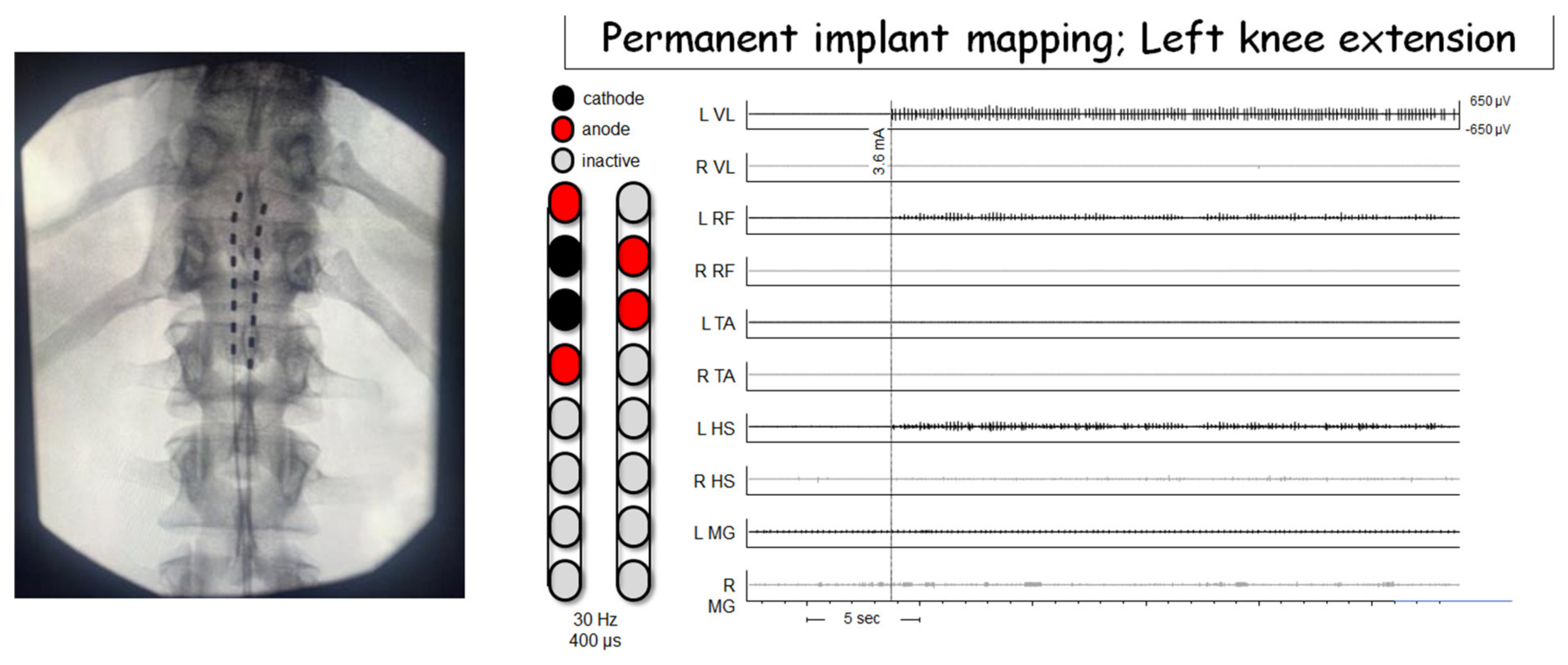 Jcm 10 05356 g003 Jcm 10 05356 g003