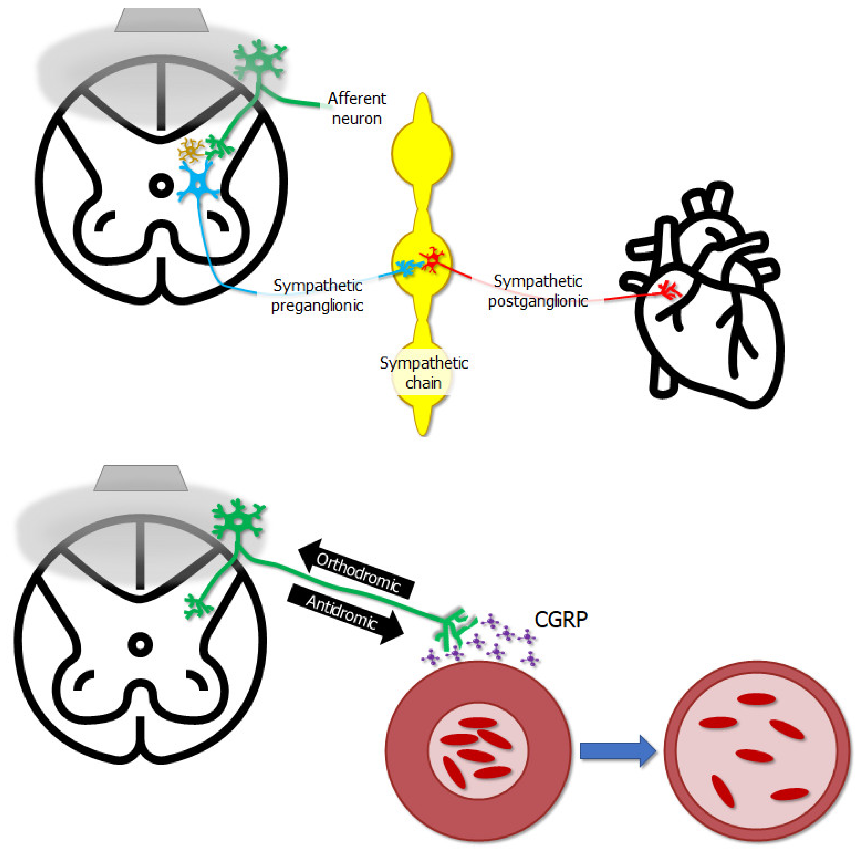 Jcm 10 05356 g004 Jcm 10 05356 g004