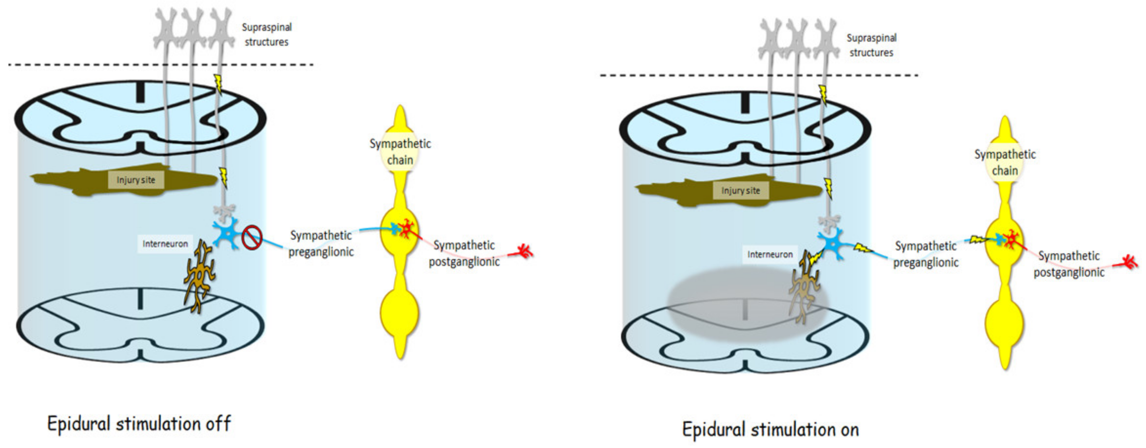 Jcm 10 05356 g005 Jcm 10 05356 g005