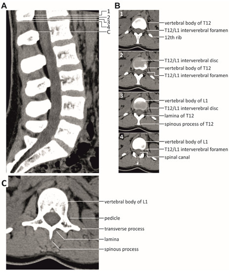 Jcm 10 05543 g0a3 550