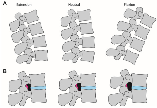 Jcm 10 05543 g0a5 550