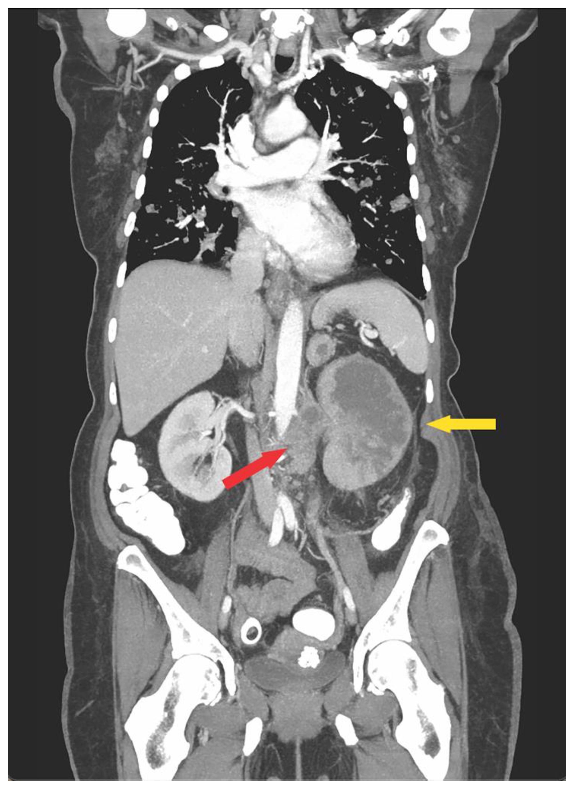 Jcm 10 05964 g001 Jcm 10 05964 g001