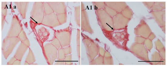 Jcm 11 00086 g0a1 550