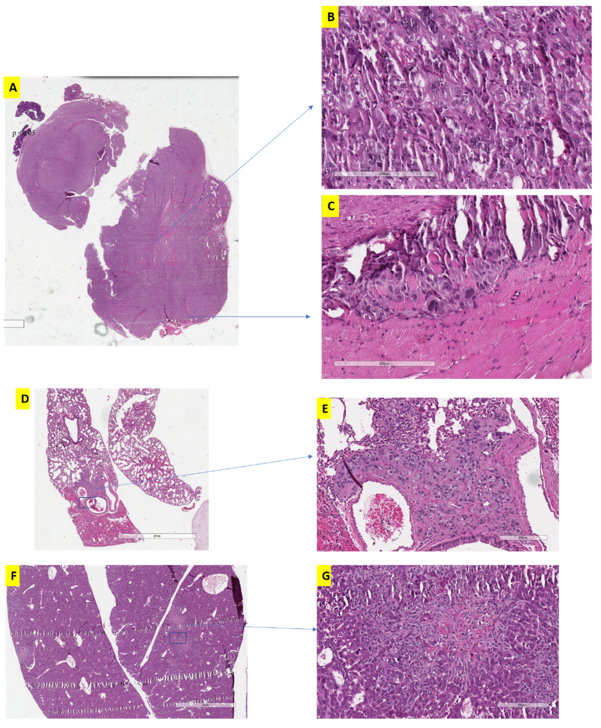 Jcm 11 00369 g003 Jcm 11 00369 g003