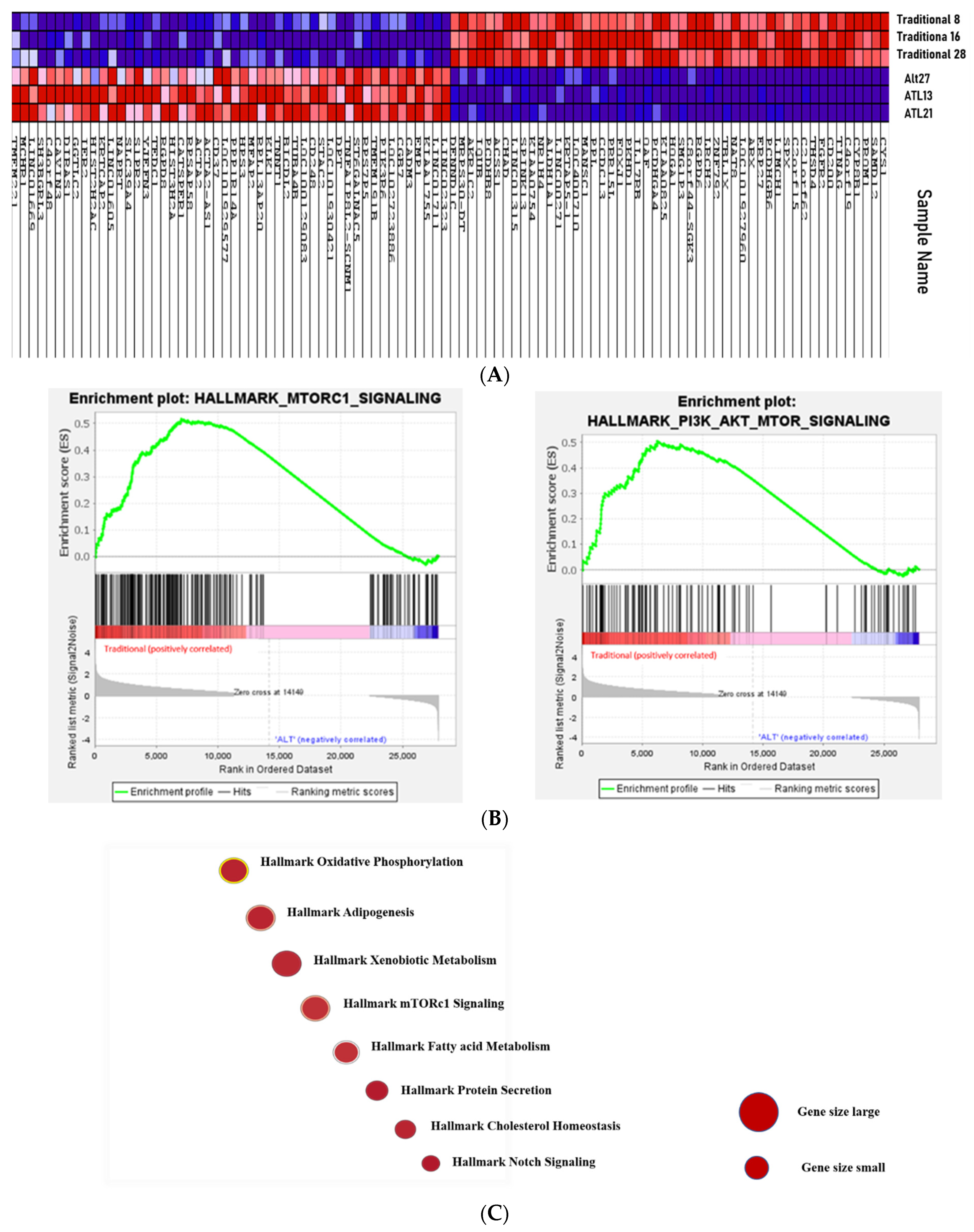 Jcm 11 00369 g005a Jcm 11 00369 g005a