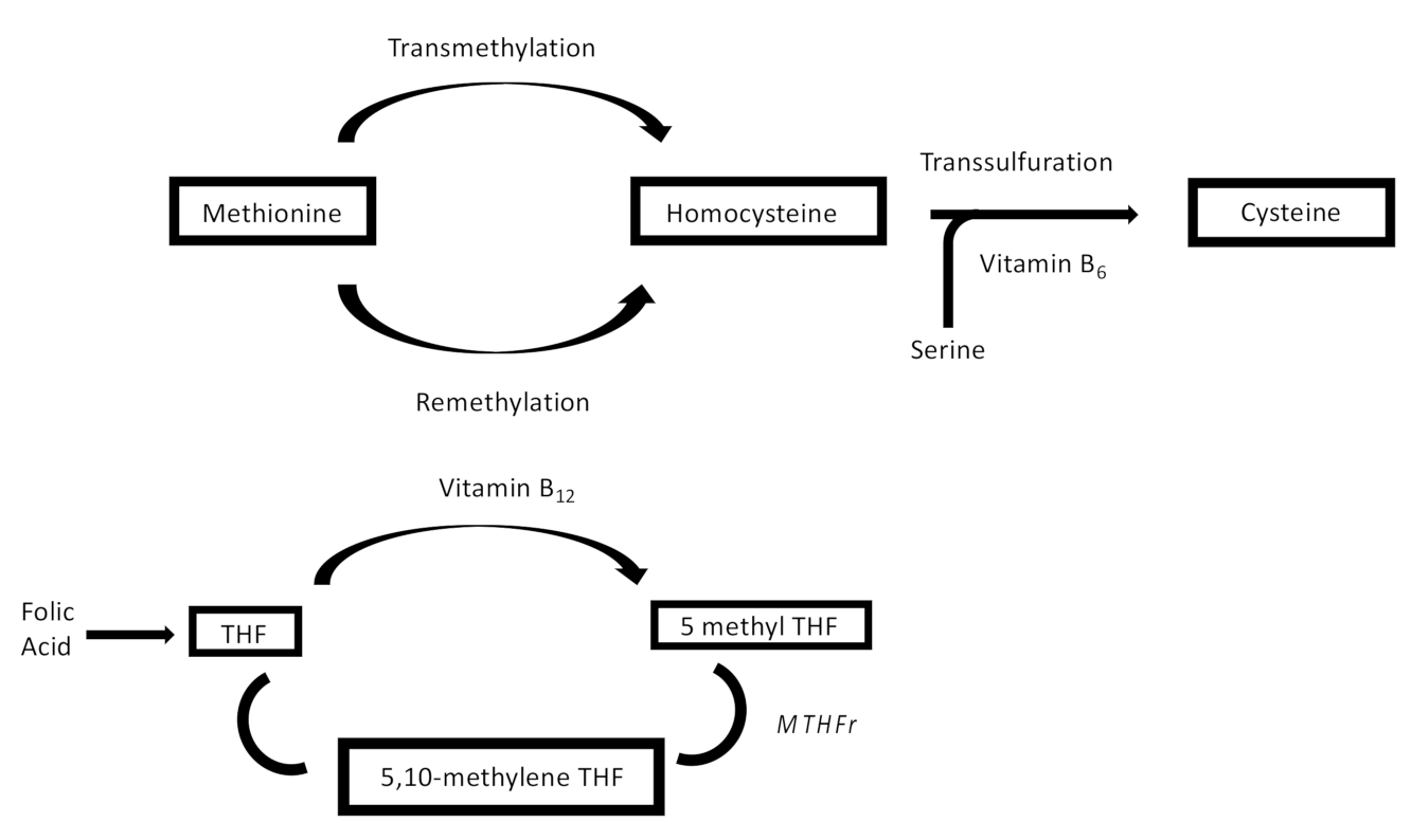 Jcm 11 00394 g001 Jcm 11 00394 g001