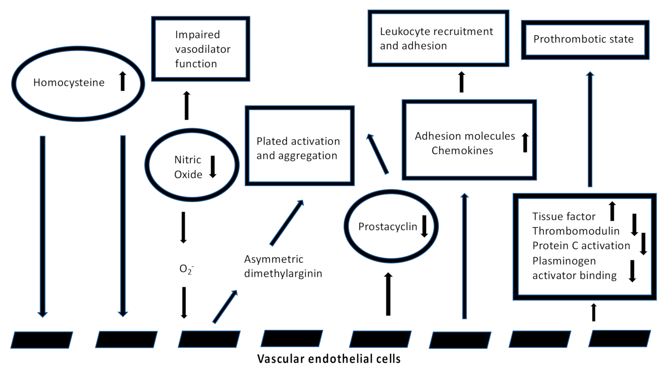 Jcm 11 00394 g002 Jcm 11 00394 g002
