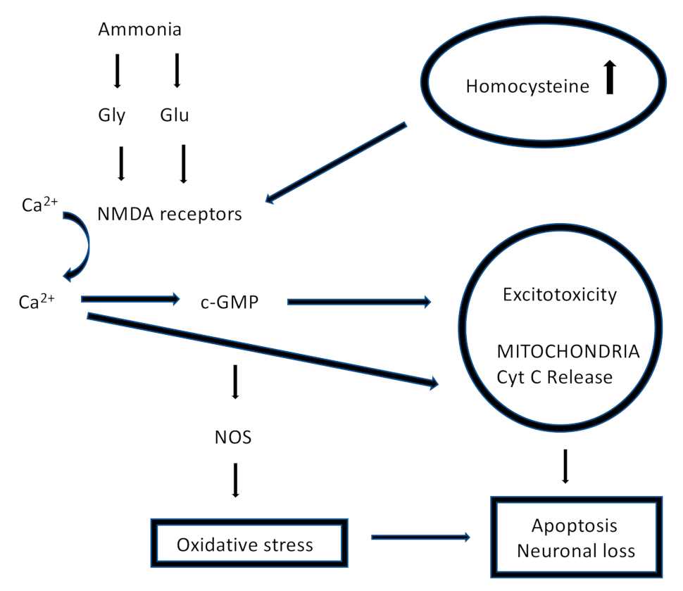 Jcm 11 00394 g003 Jcm 11 00394 g003