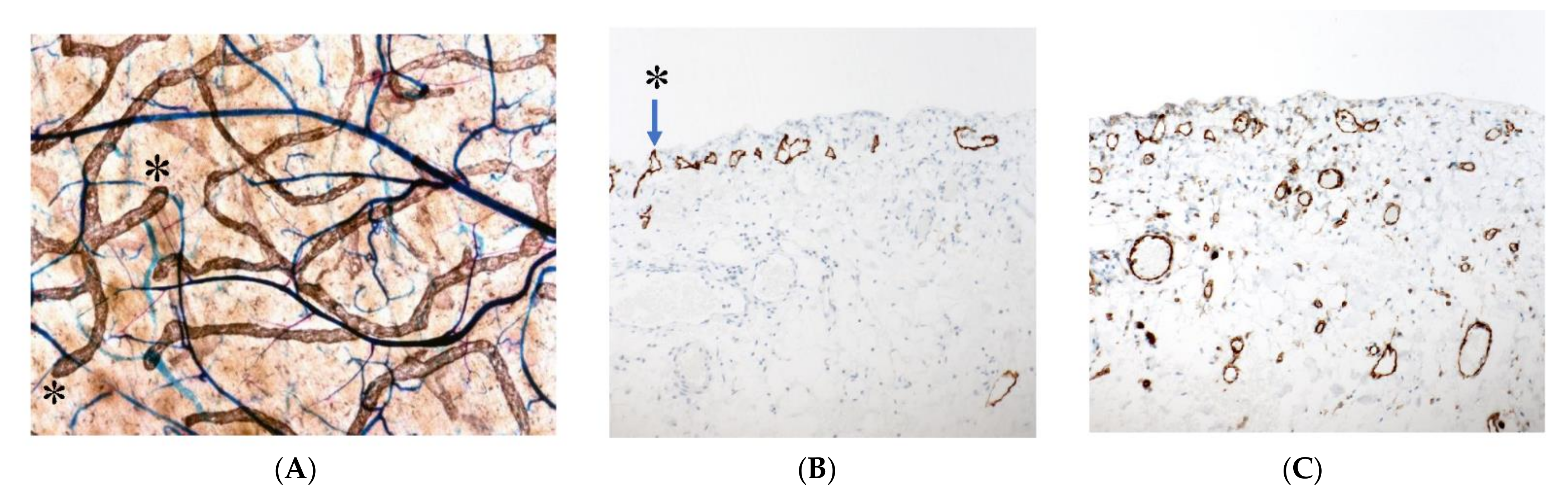 Jcm 11 00458 g002