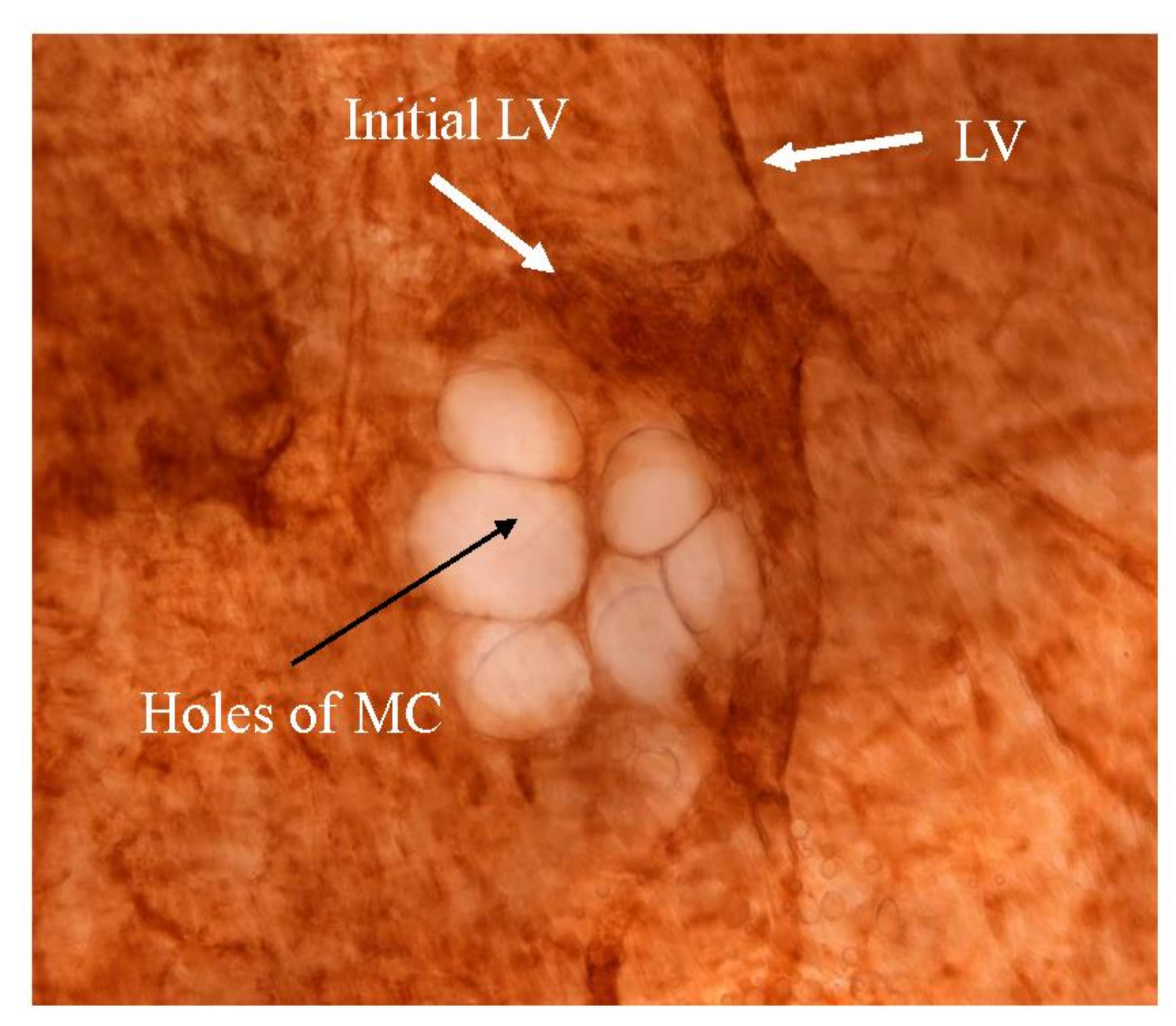 Jcm 11 00458 g010